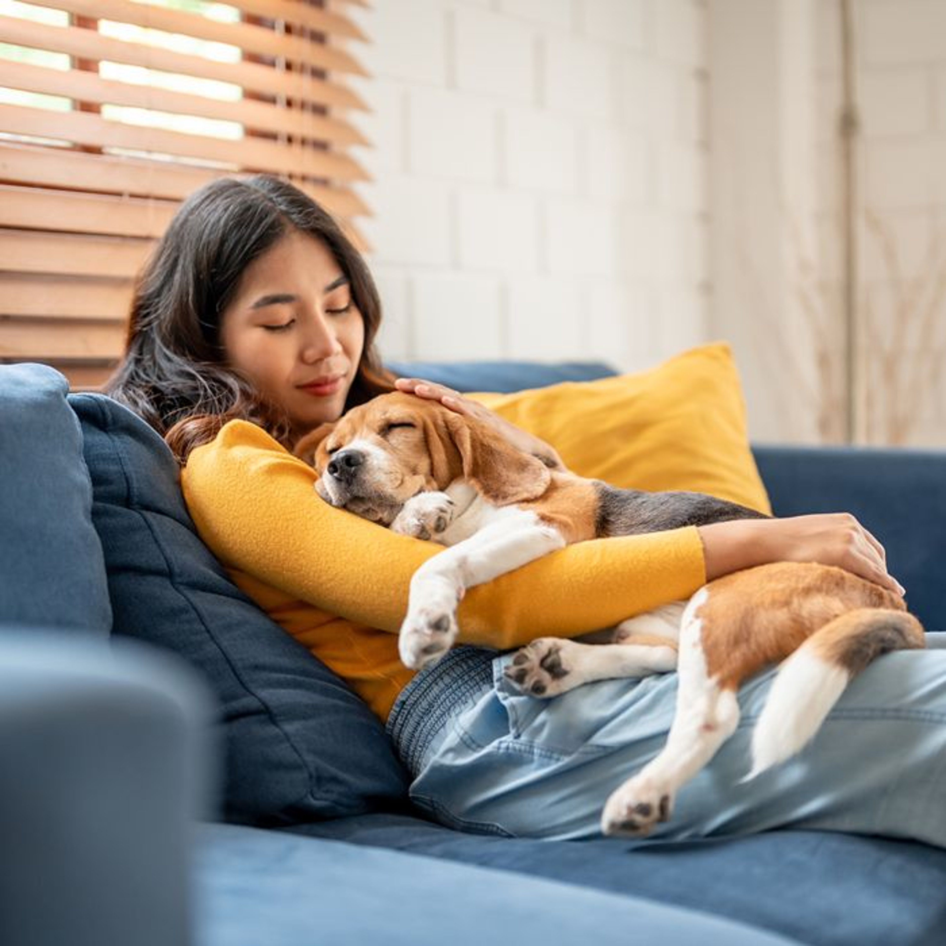 Pet enjoying coverage from Spot Pet Insurance