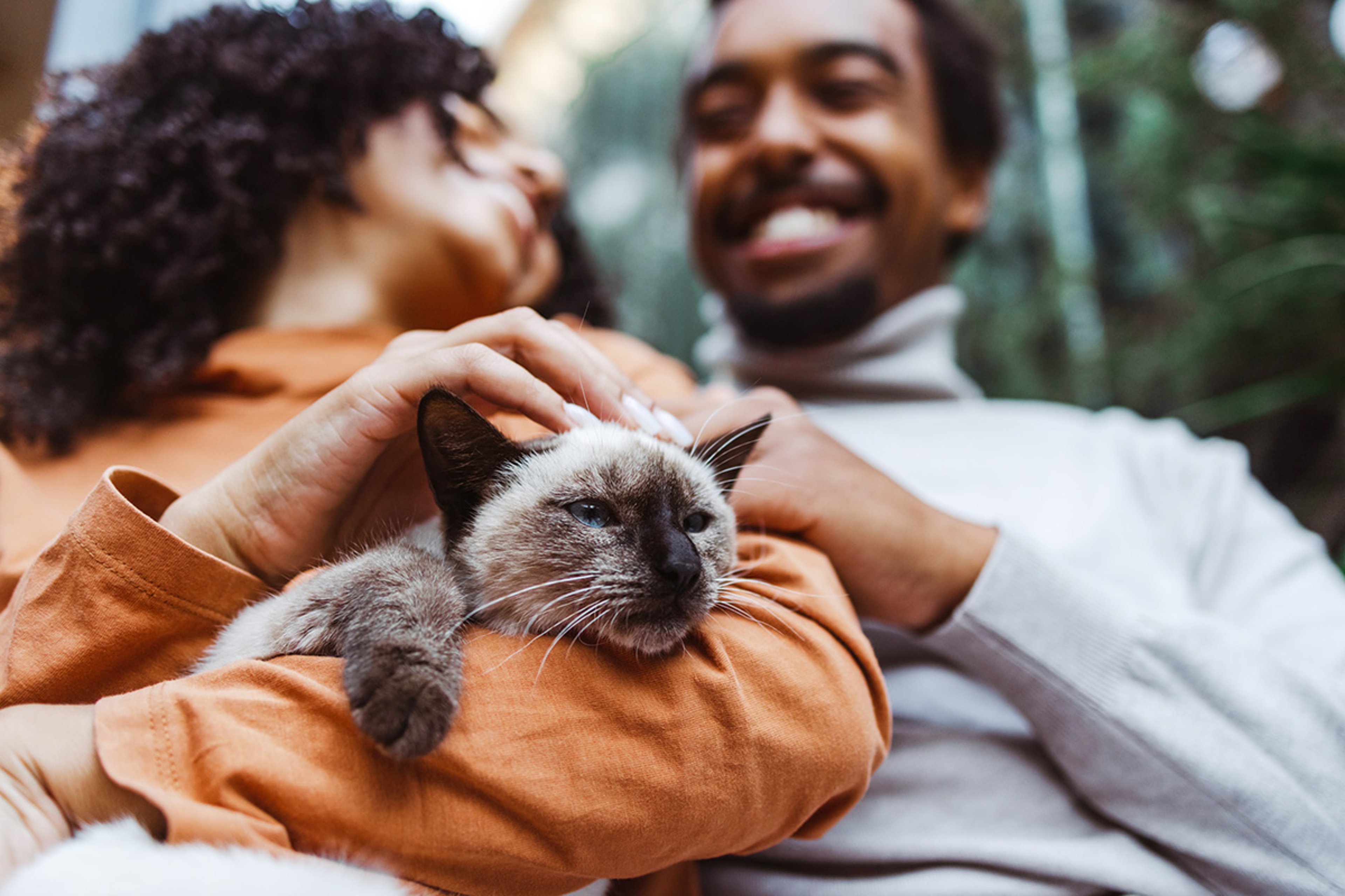 Save on Spot Pet Insurance plans