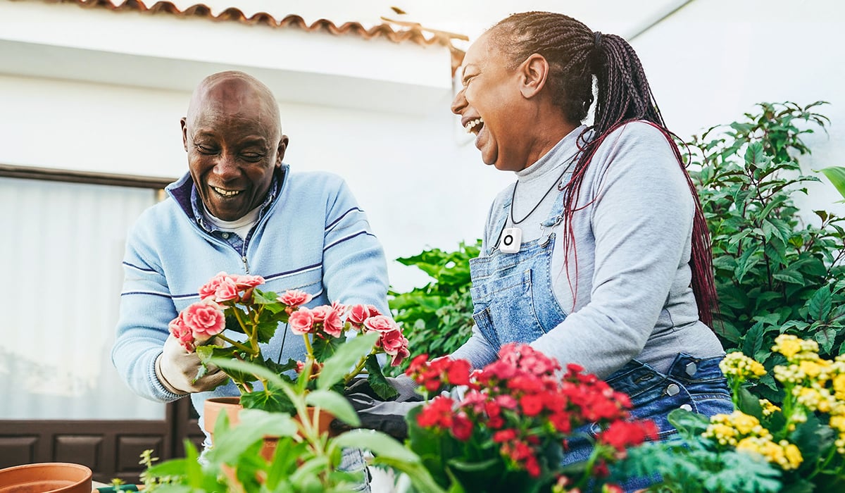 Happy senior couple gardening