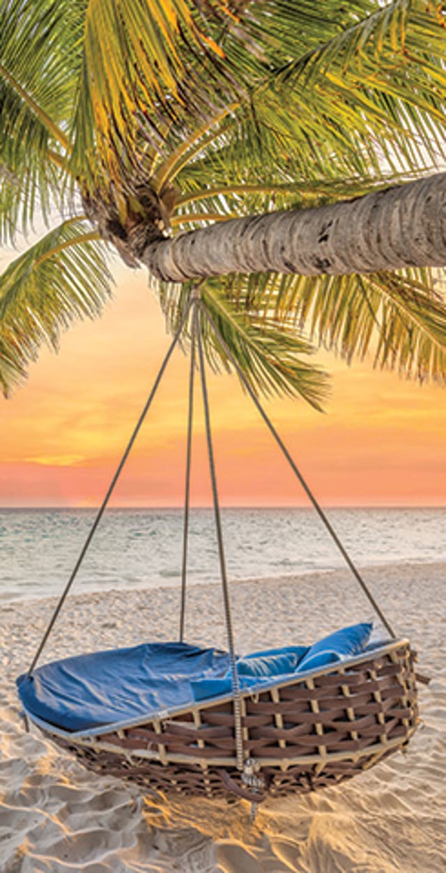 Cushioned hanging daybed beneath a palm tree on a tropical beach at sunset.