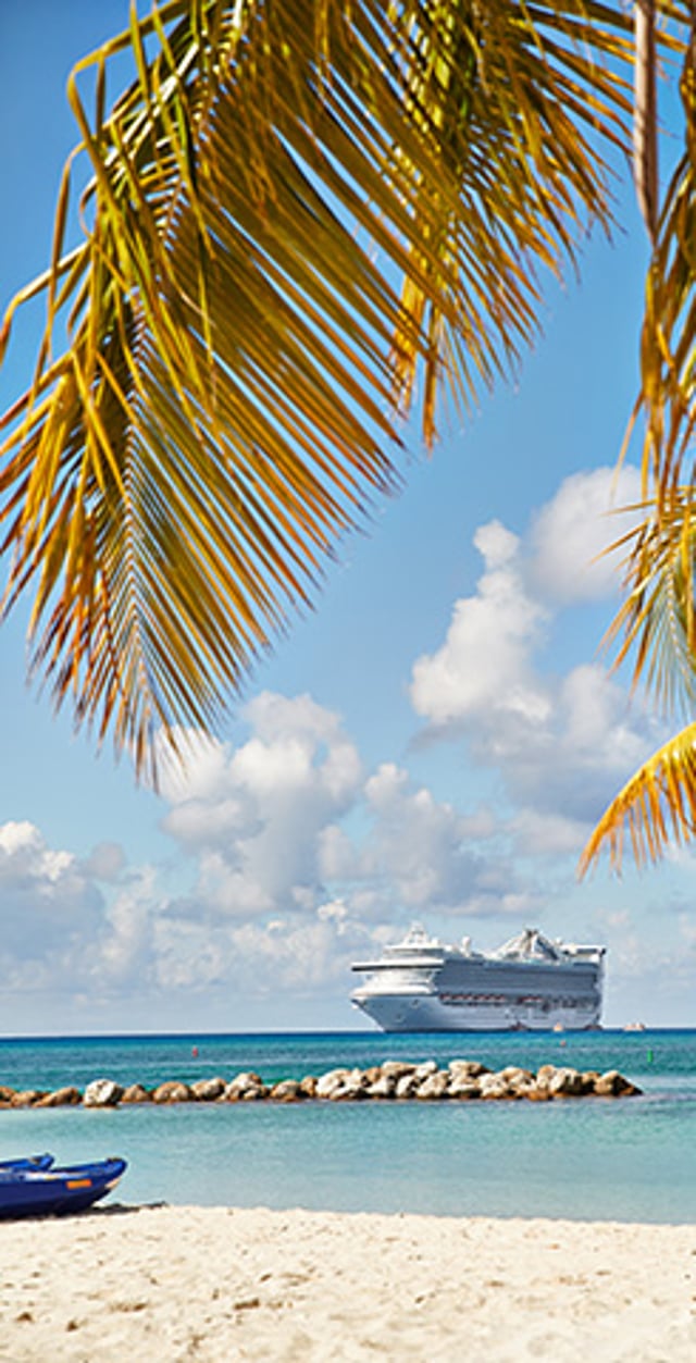 Large cruise ship anchored offshore beyond a sandy beach, framed by palm fronds under a blue sky.