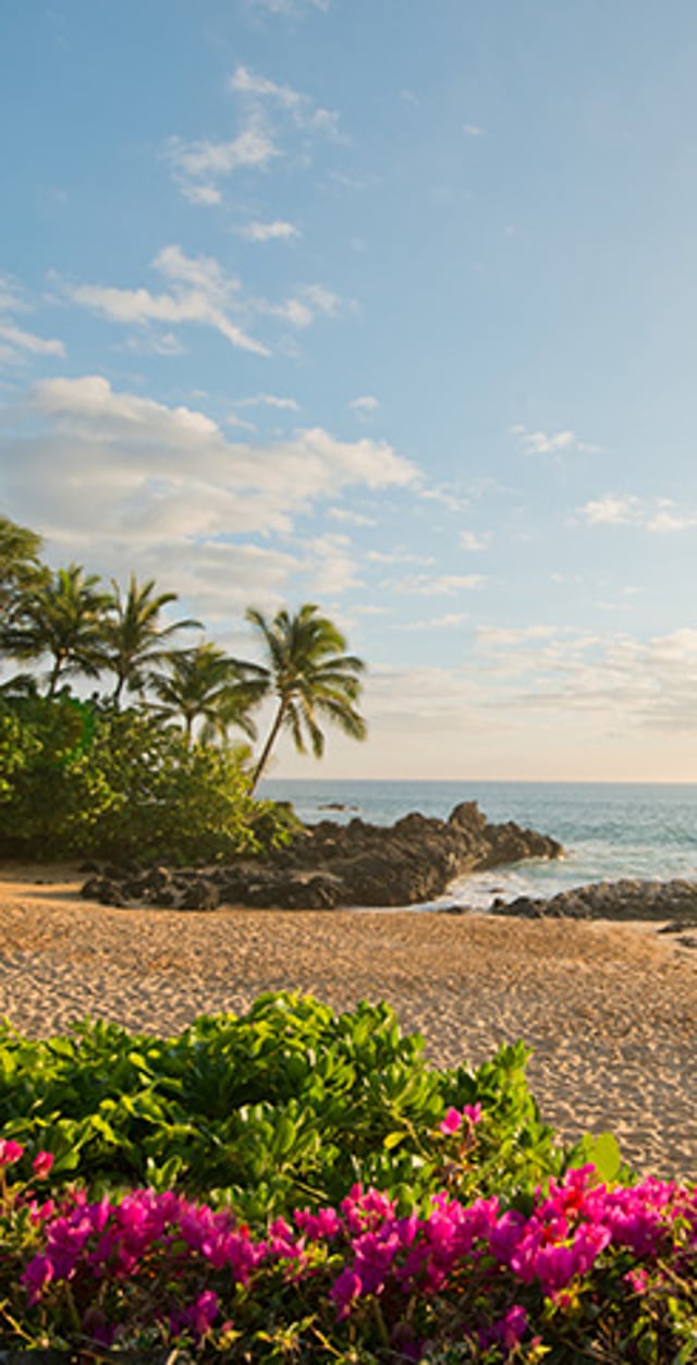 Tropical beach with palm trees, colorful flowers, rocky shoreline, and calm ocean under a bright blue sky.