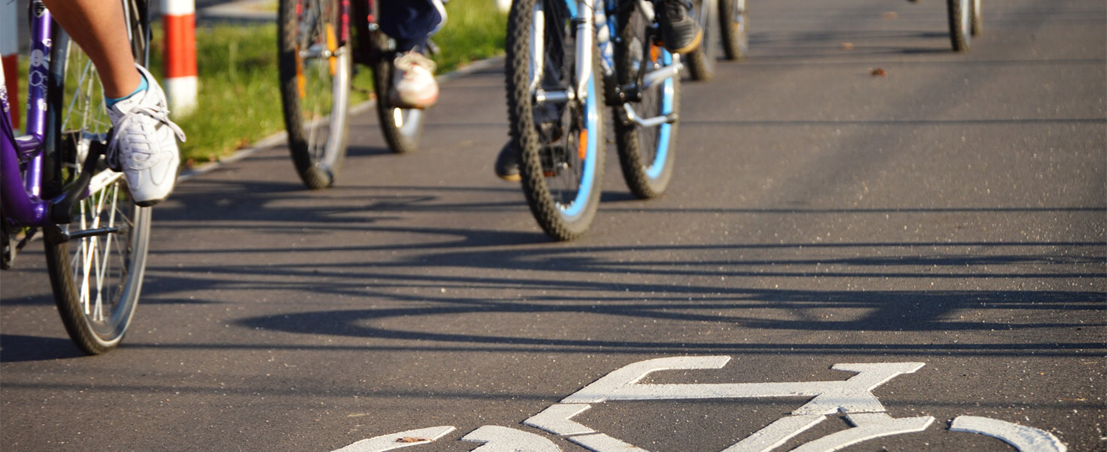 People Riding Bikes 