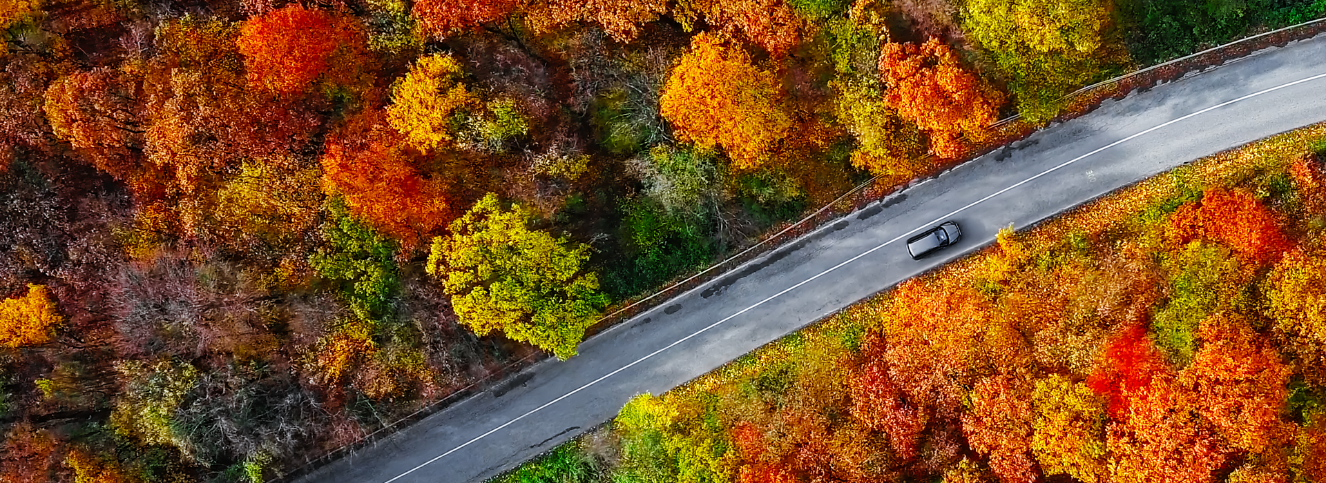 Overhead aerial view of winding mountain road inside colorful autumn forest