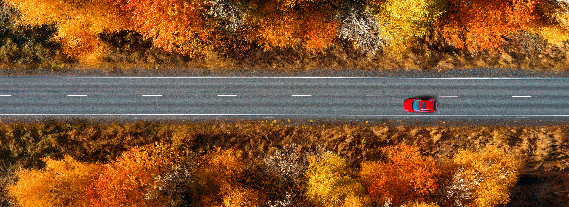 Aerial view of a red car on road across a forest in autumn