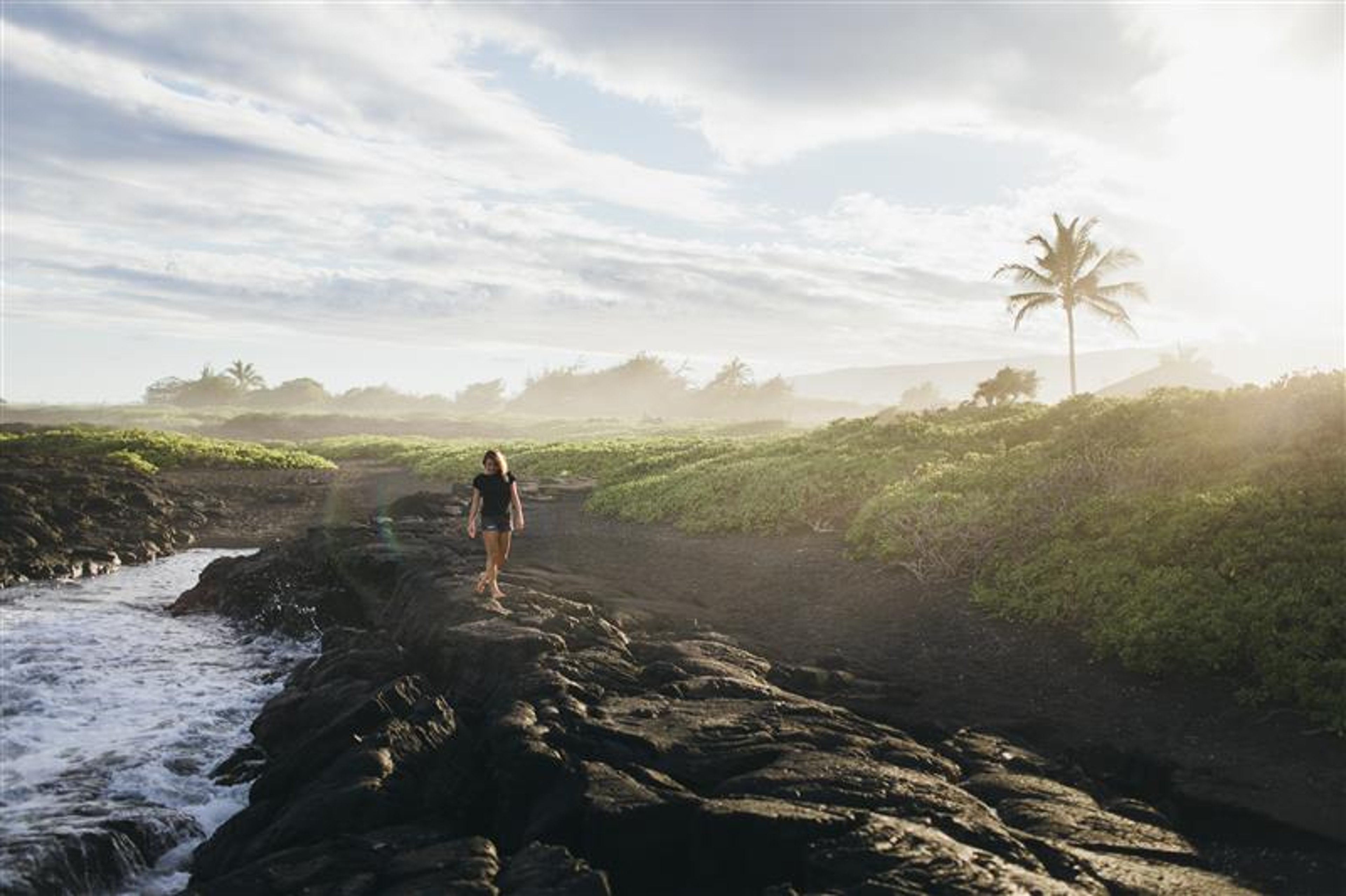 A person walks on a rocky shoreline with waves crashing, greenery, and a palm tree at sunrise or sunset.
