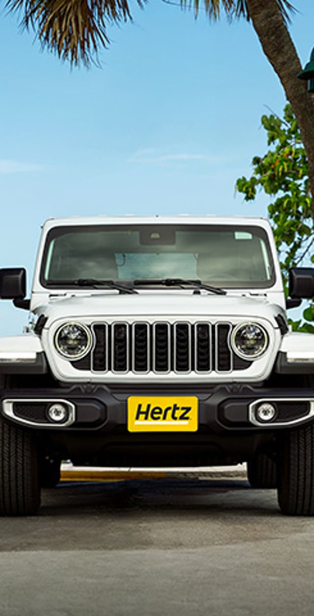 White utility vehicle with yellow front Hertz license plate parked at seaside under palm tree