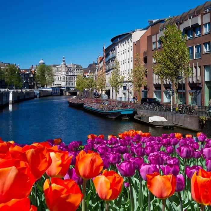 Image of Amsterdam