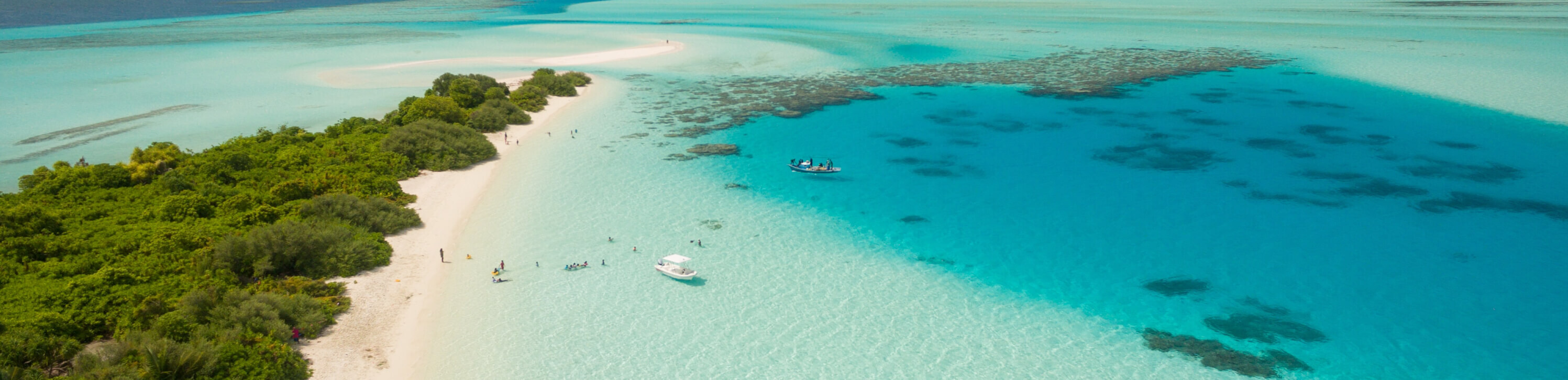 aerial view of beach