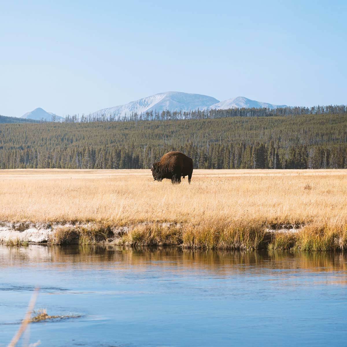 Yellowstone National Park