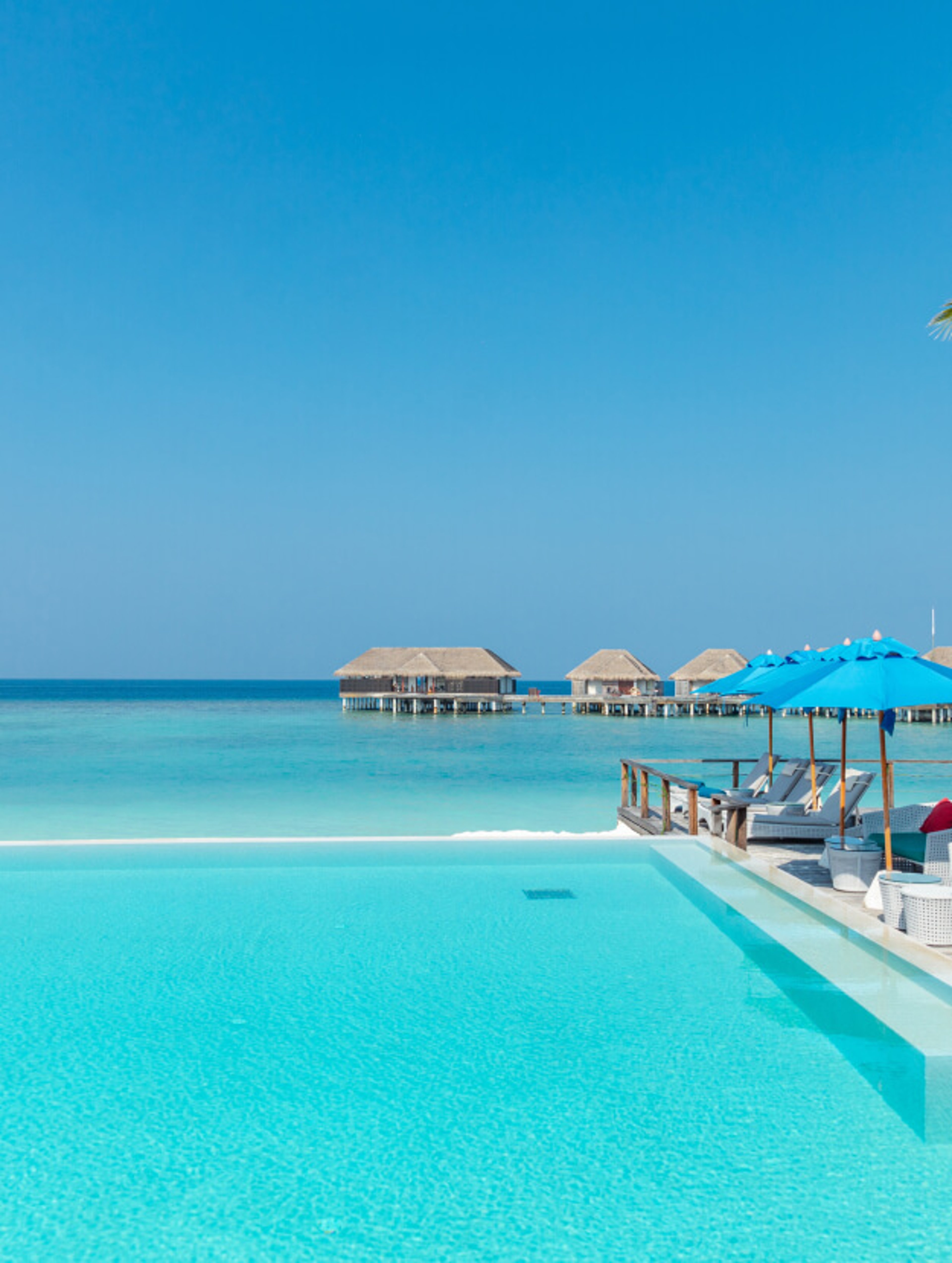 A serene beachside pool with comfortable lounge chairs and colorful umbrellas.