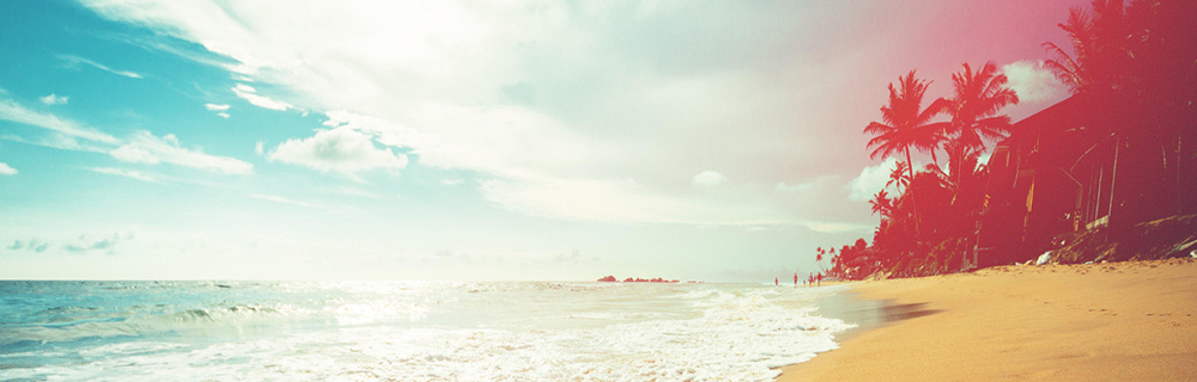 Serene beach with gentle waves, palm trees, and a vibrant sky