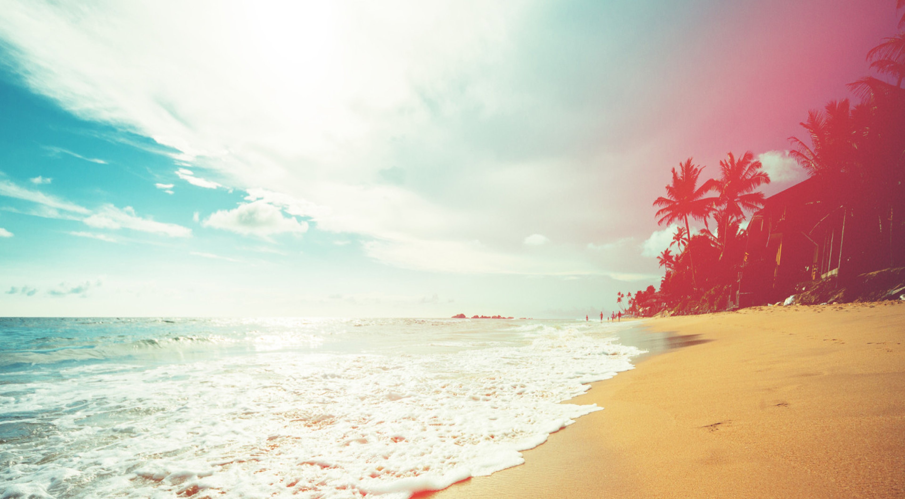 Serene beach with gentle waves, palm trees, and a vibrant sky