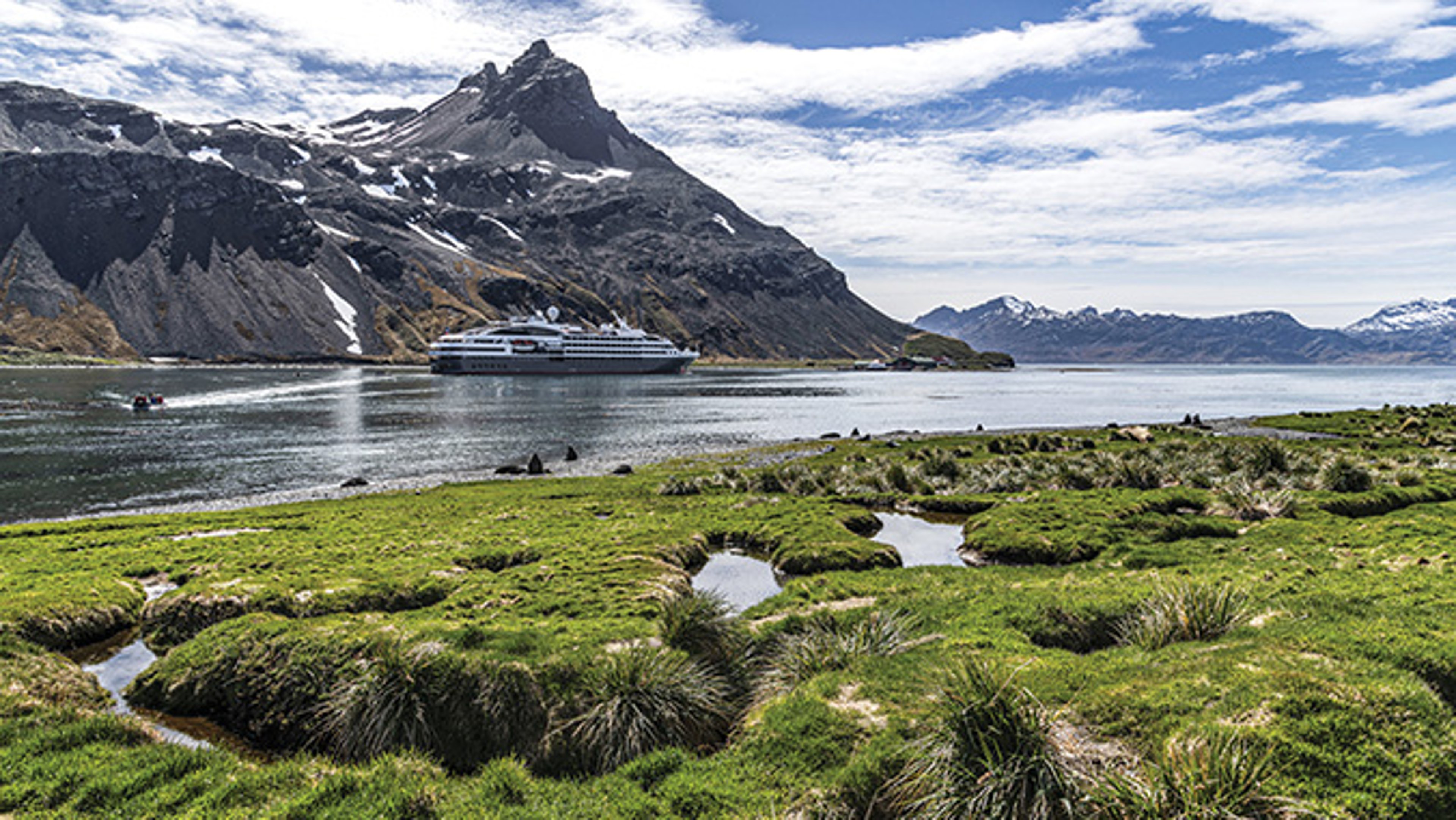 Ponant cruise ship sailing through tranquil waters and grassy coast off of South Georgia Island