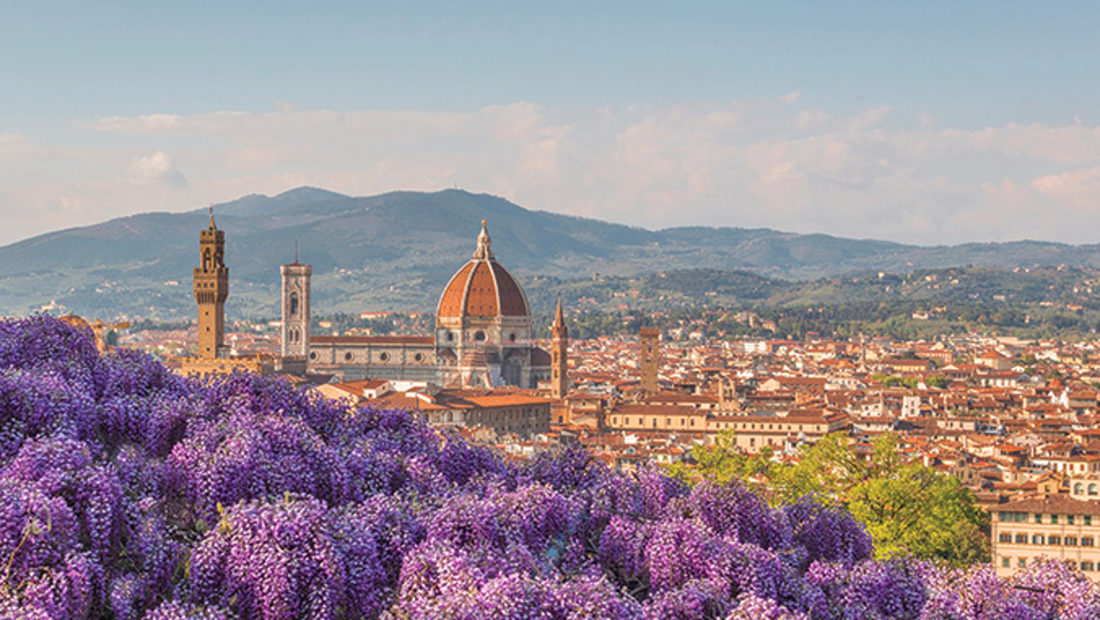 Cathedral of Santa Maria del Fiore with purple flowered tree in Florence, Italy