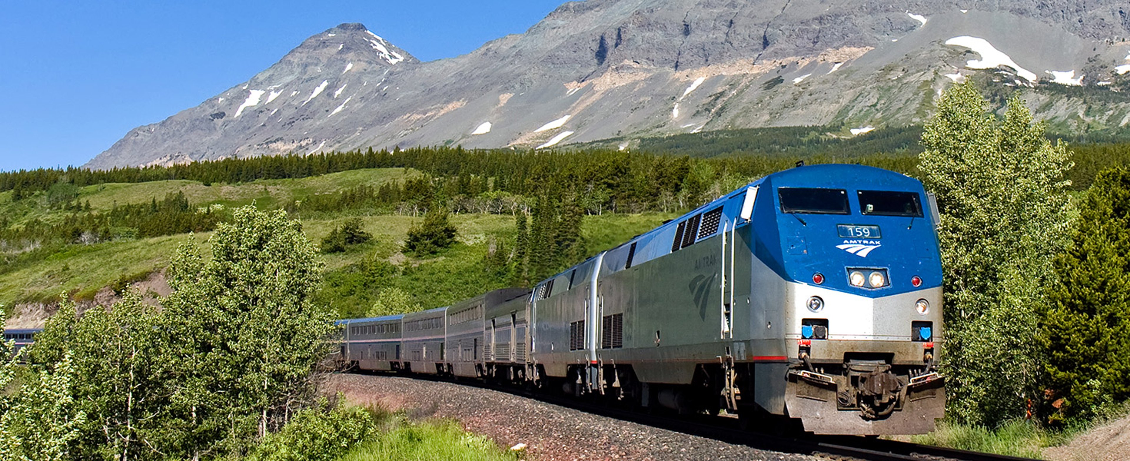 Amtrak Train traveling through trees