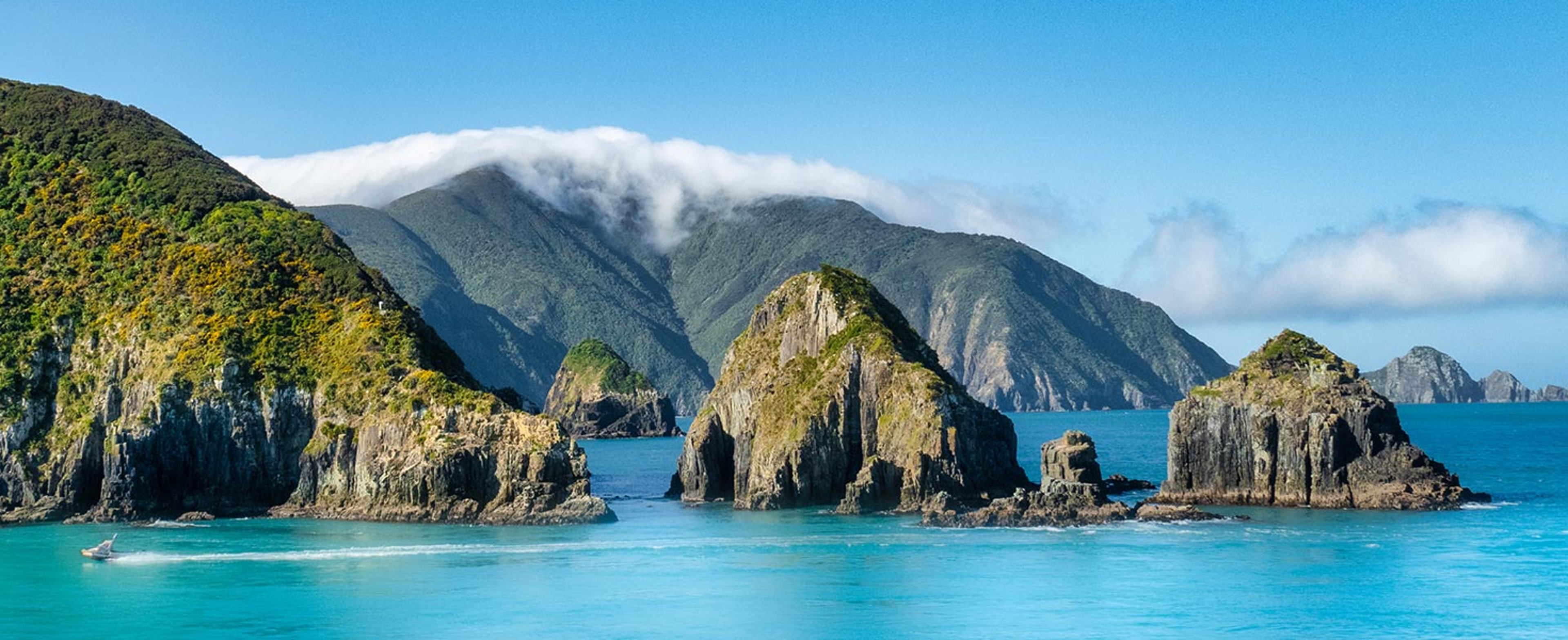 Small islands off coast of New Zealand