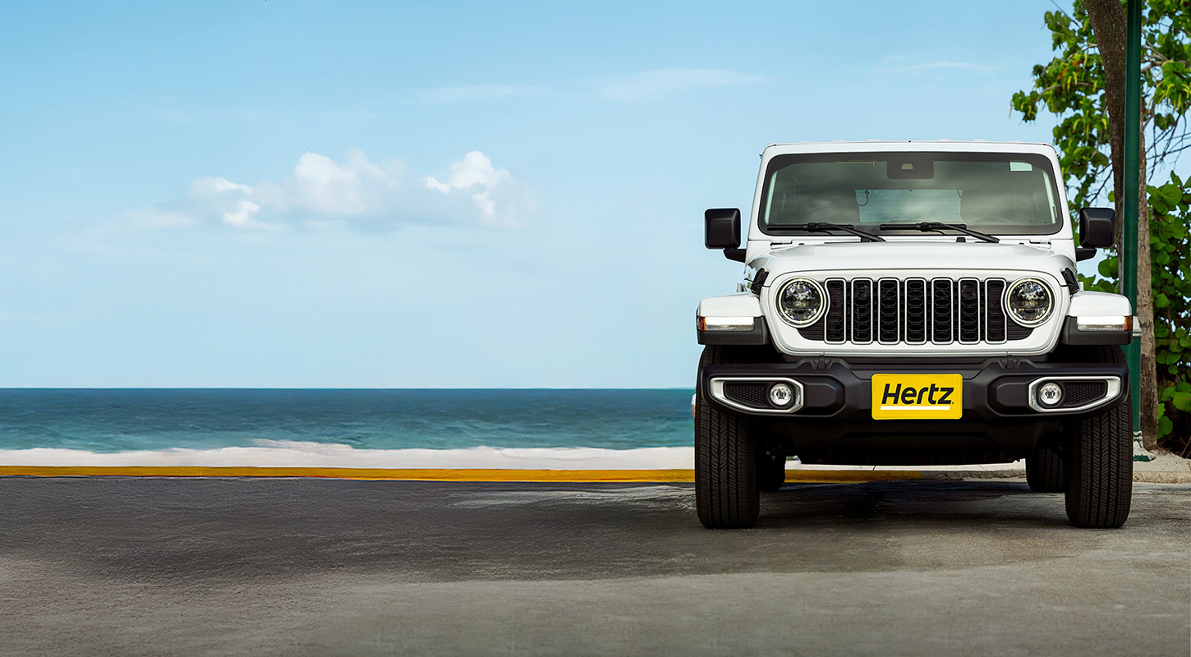 White SUV with Hertz yellow front license plate tag parked at beach with ocean, blue skies, and tree in background
