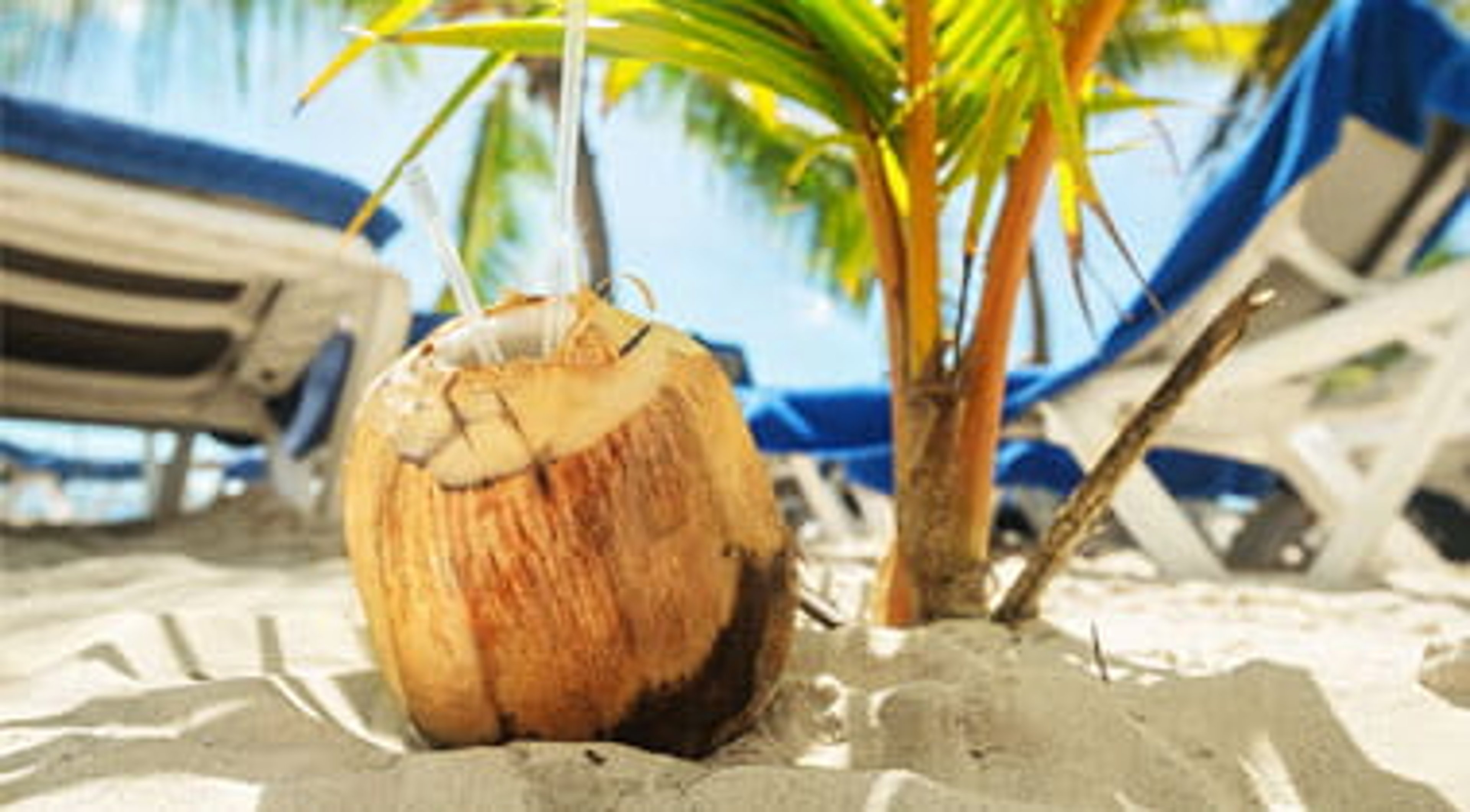 Coconut drink next to a palm tree on a Dominican Republic beach