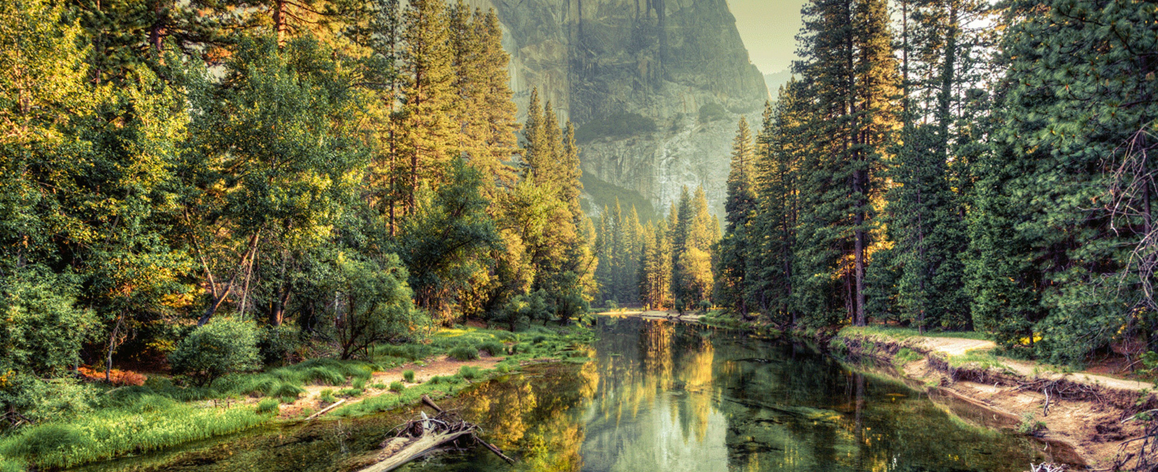 Panoramic view of Yosemite Park woods in the fall