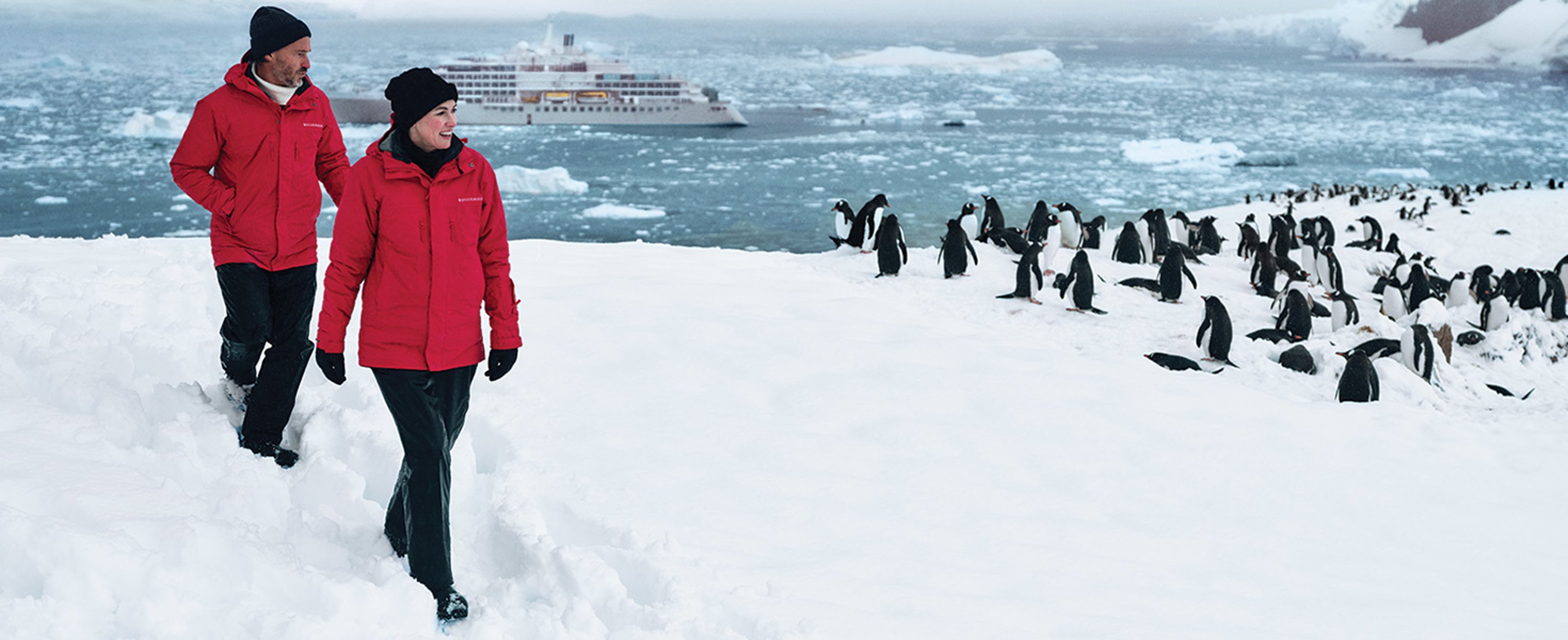A couple walking past a group of penguins in Neko Harbour, Antarctica