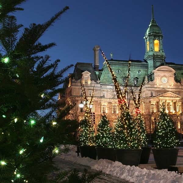 Montreal City Hall (Hôtel de Ville de Montréal) illuminated for the holiday season.
