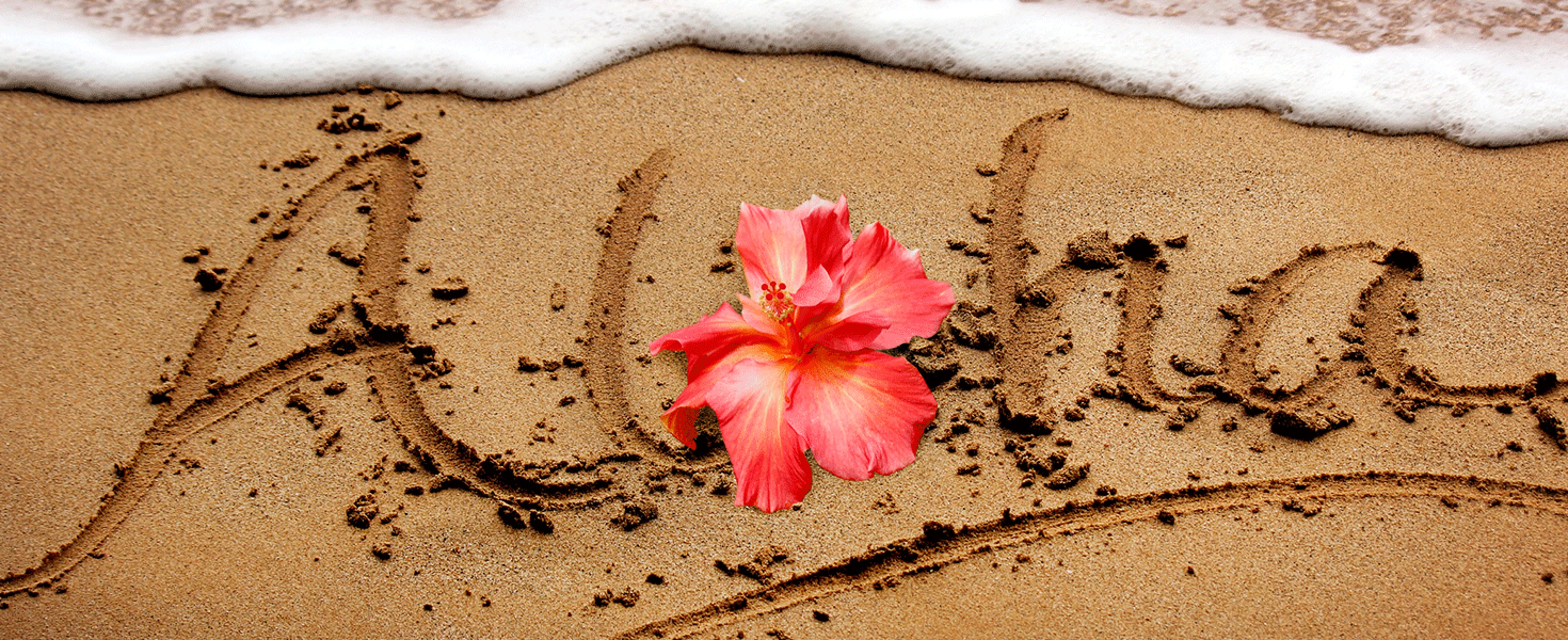 Aloha written on beach with pink Hibiscus flower placed over the o.