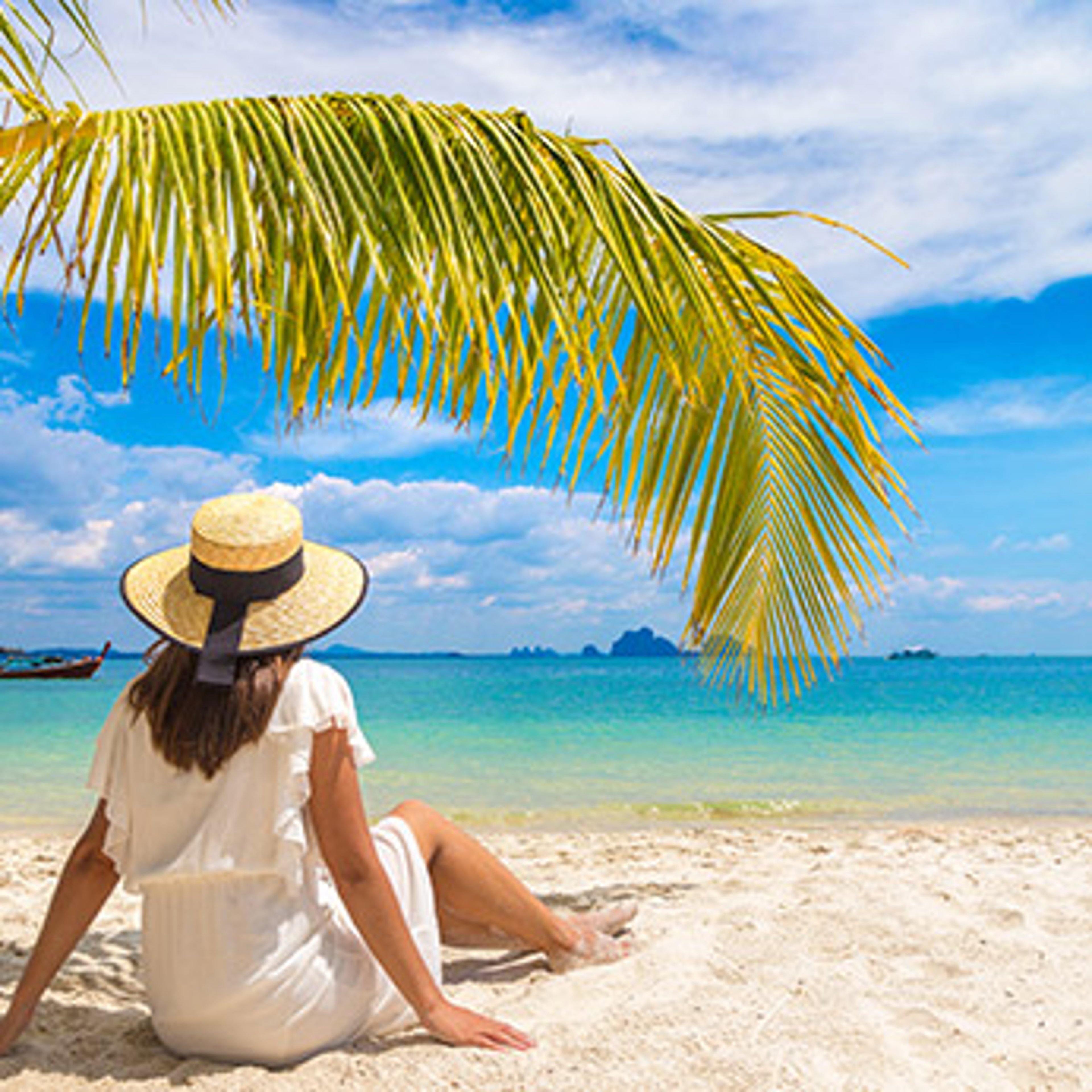 Woman in a hat sitting under a palm tree on a sandy beach looking out over the ocean