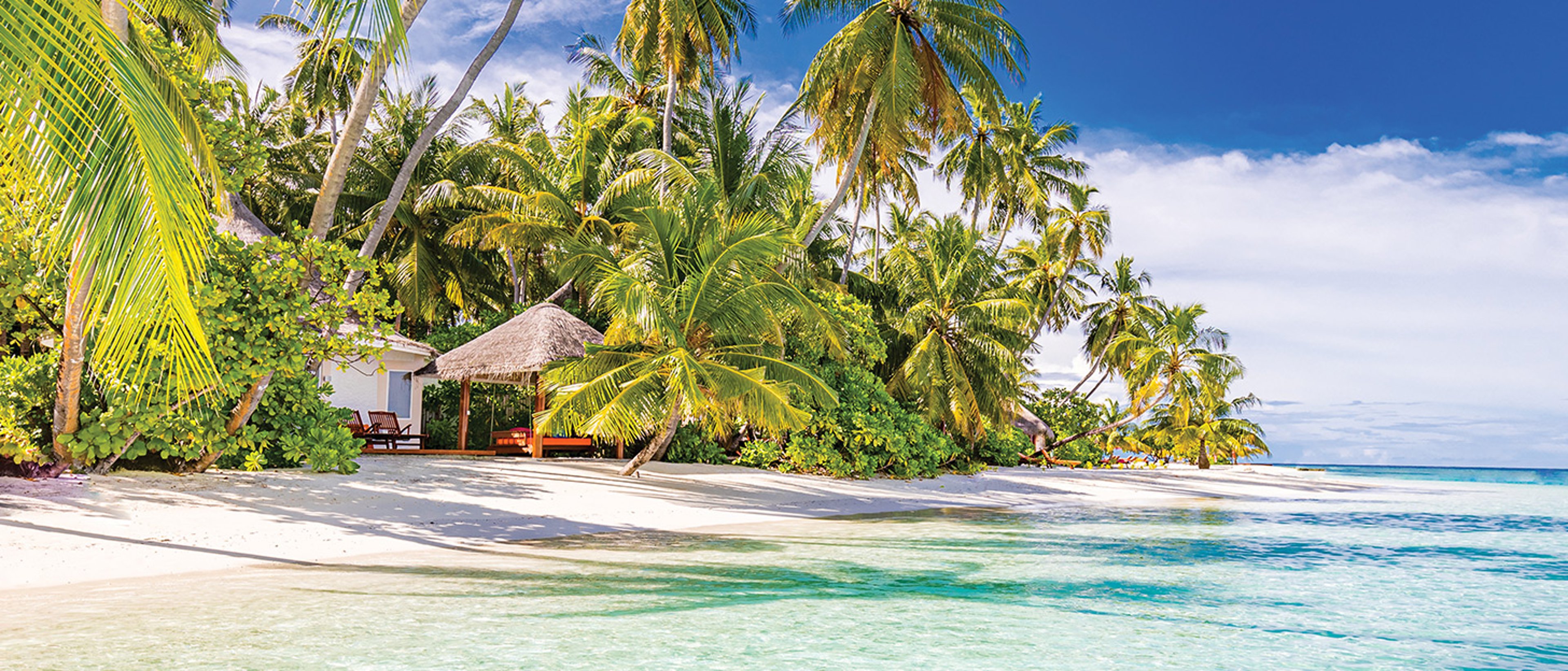 The image appears to show a tropical beach scene with white sand, turquoise water, and lush palm trees, resembling a resort island in the Maldives