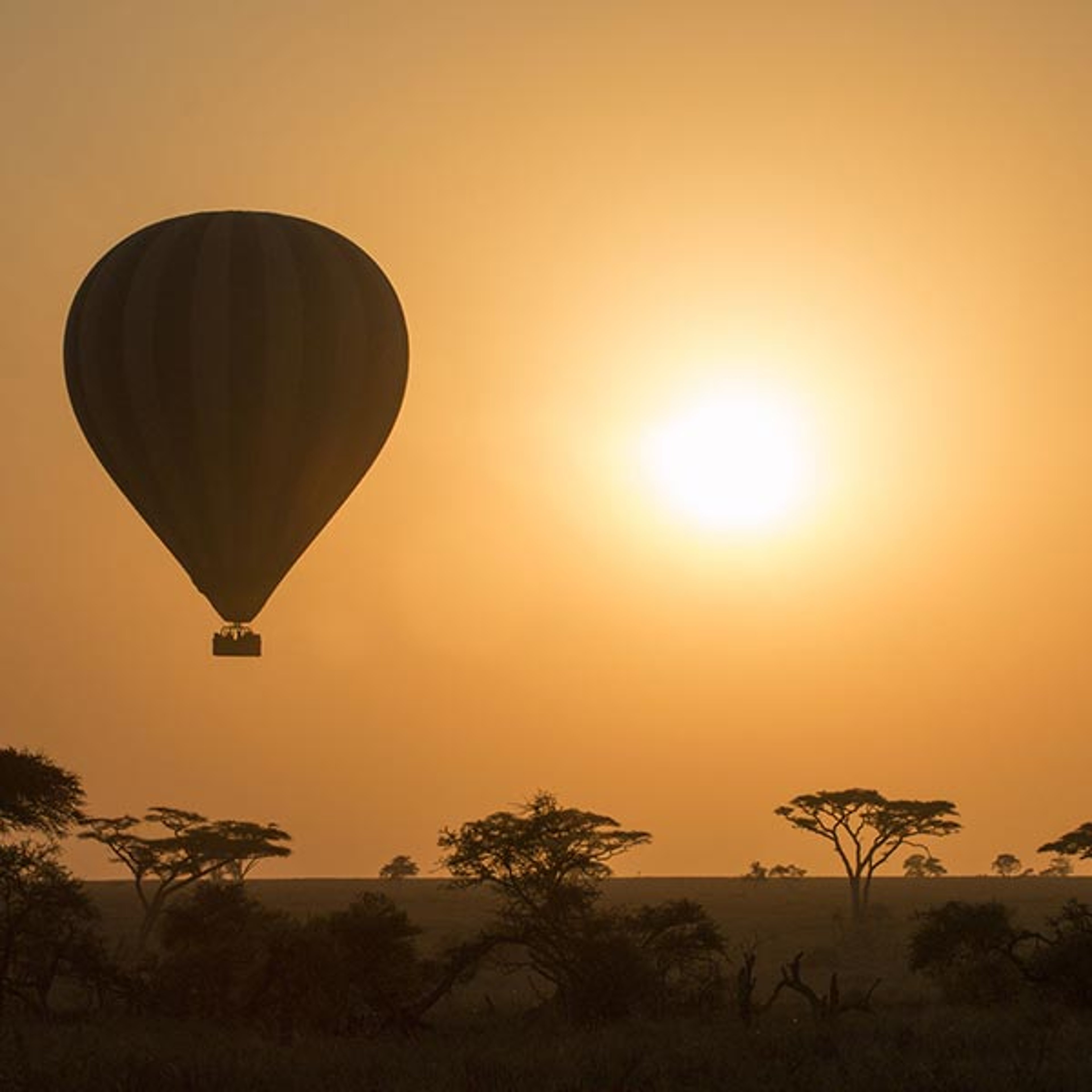 The image shows a hot air balloon flying at sunrise over an African savanna, which resembles the Serengeti National Park in Tanzania or the Maasai Mara in Kenya