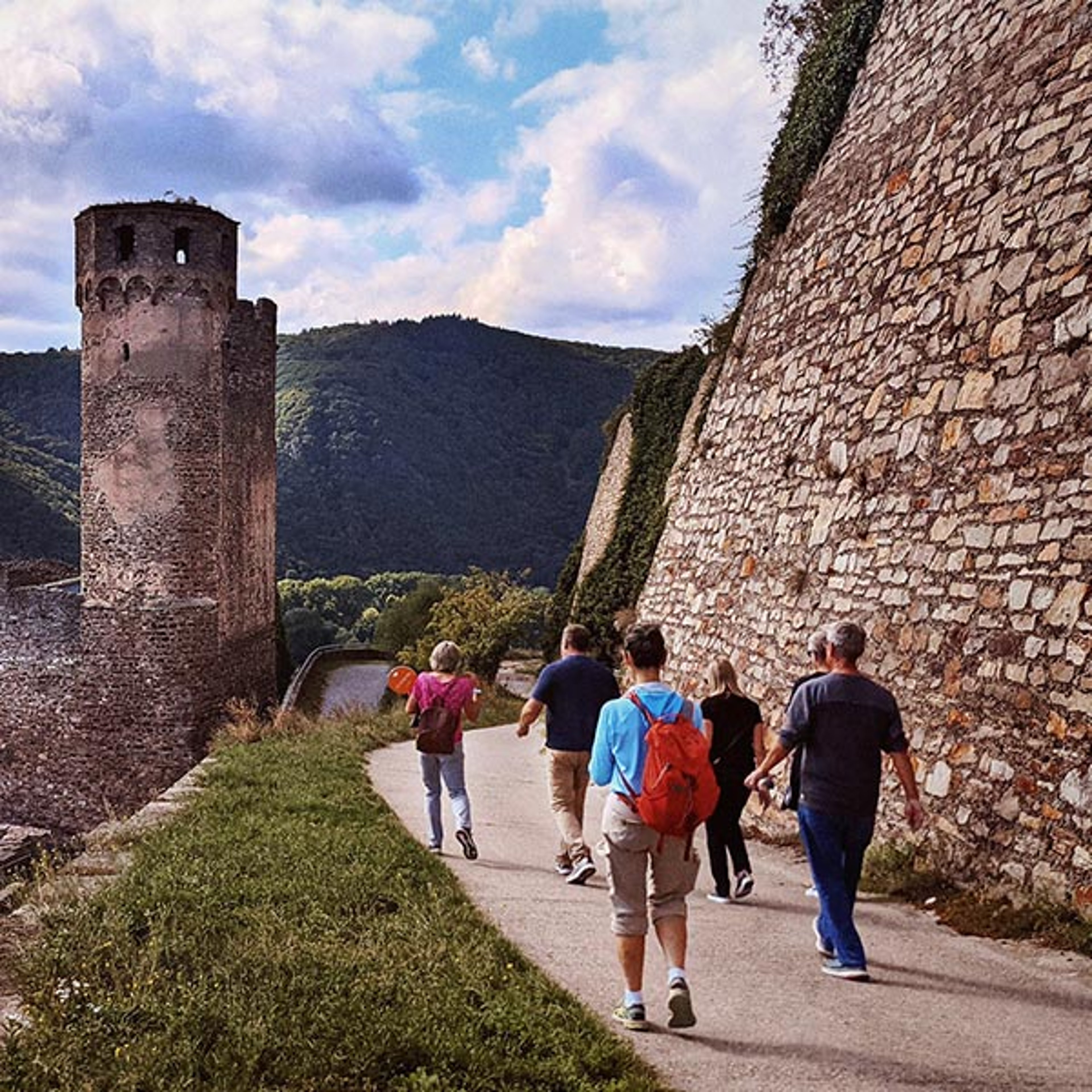 Group hiking in Rudeshelm Vineyard