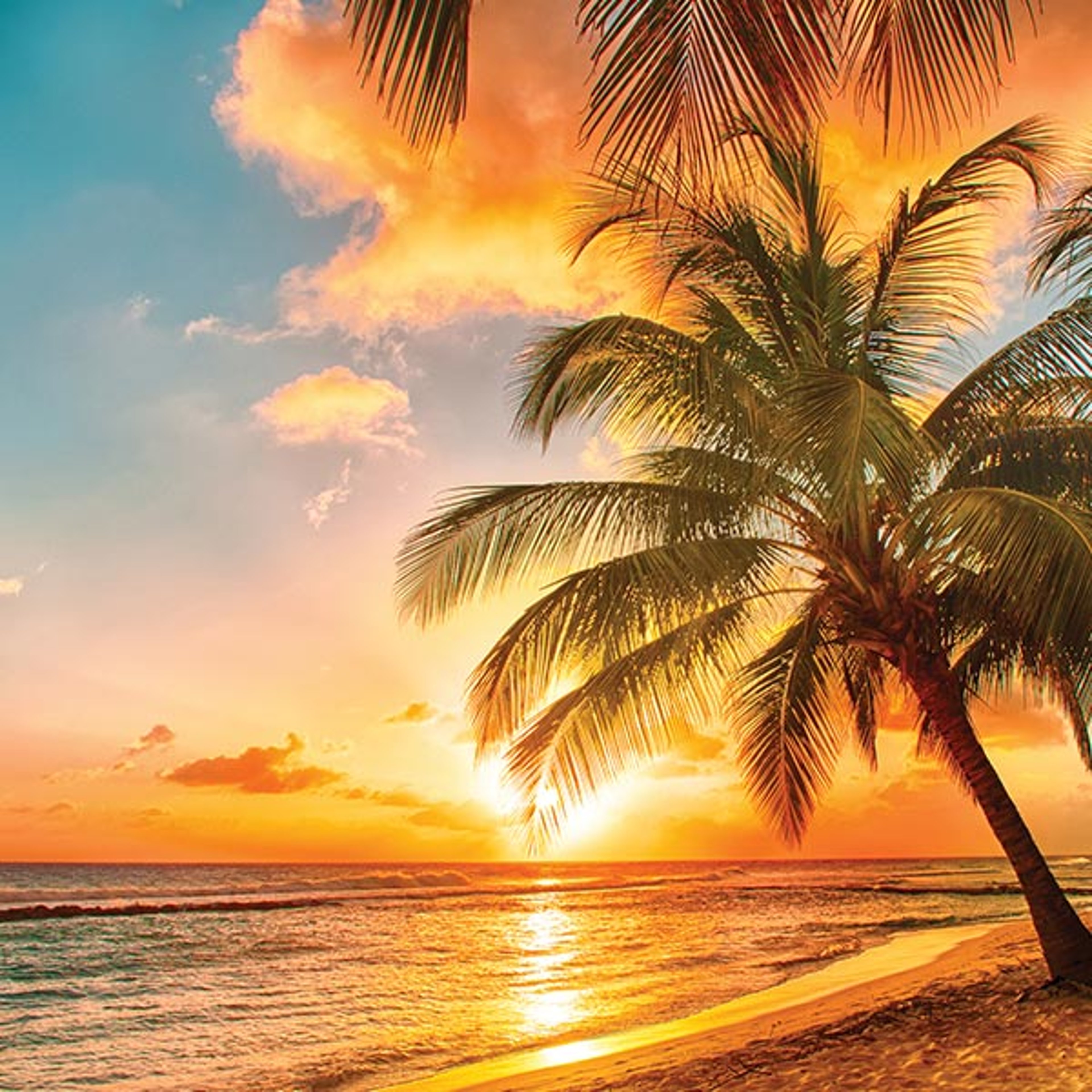 Sunset on Barbados beach