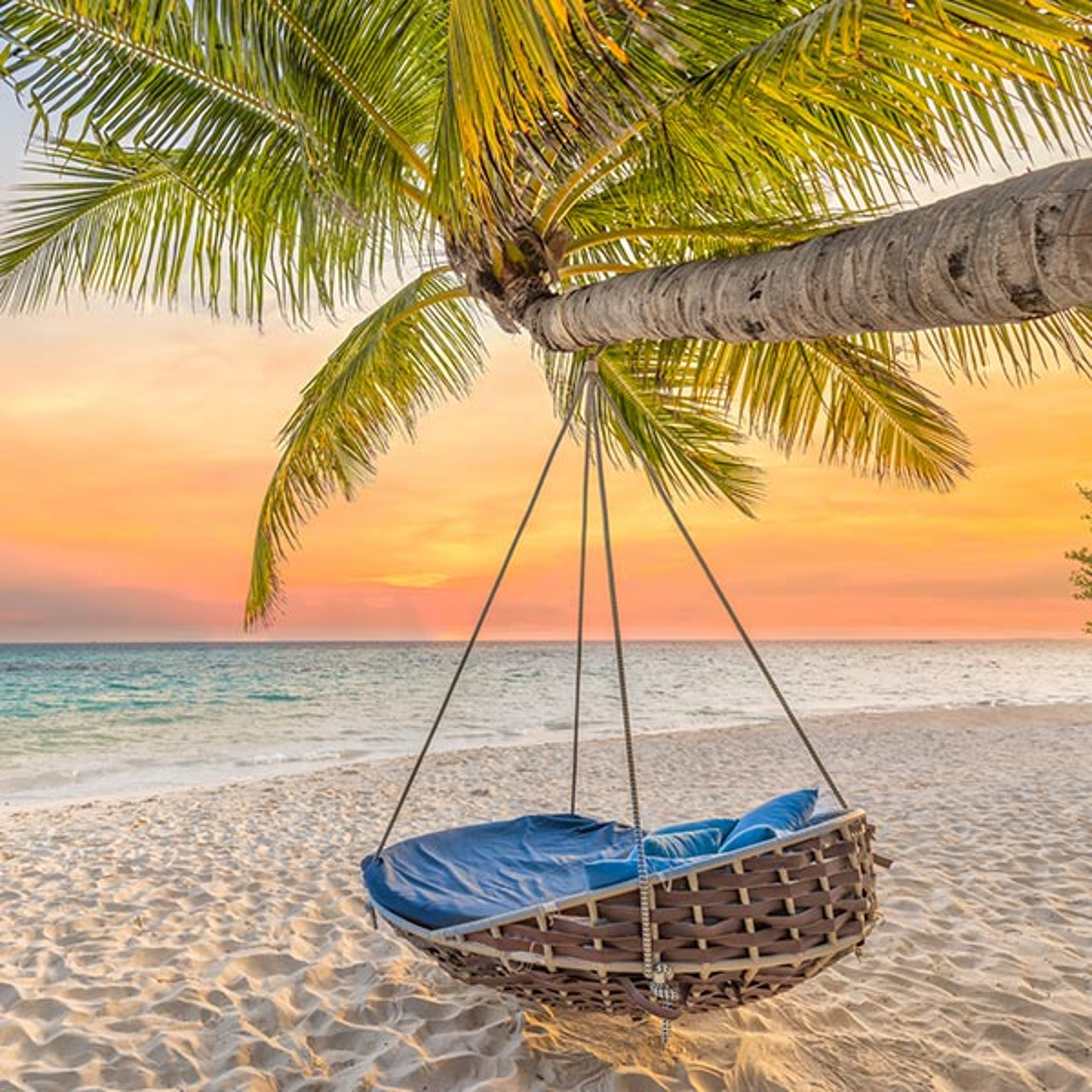 The image shows a tropical beach scene at sunset with a woven hanging chair or swing suspended from a palm tree over sandy shores.