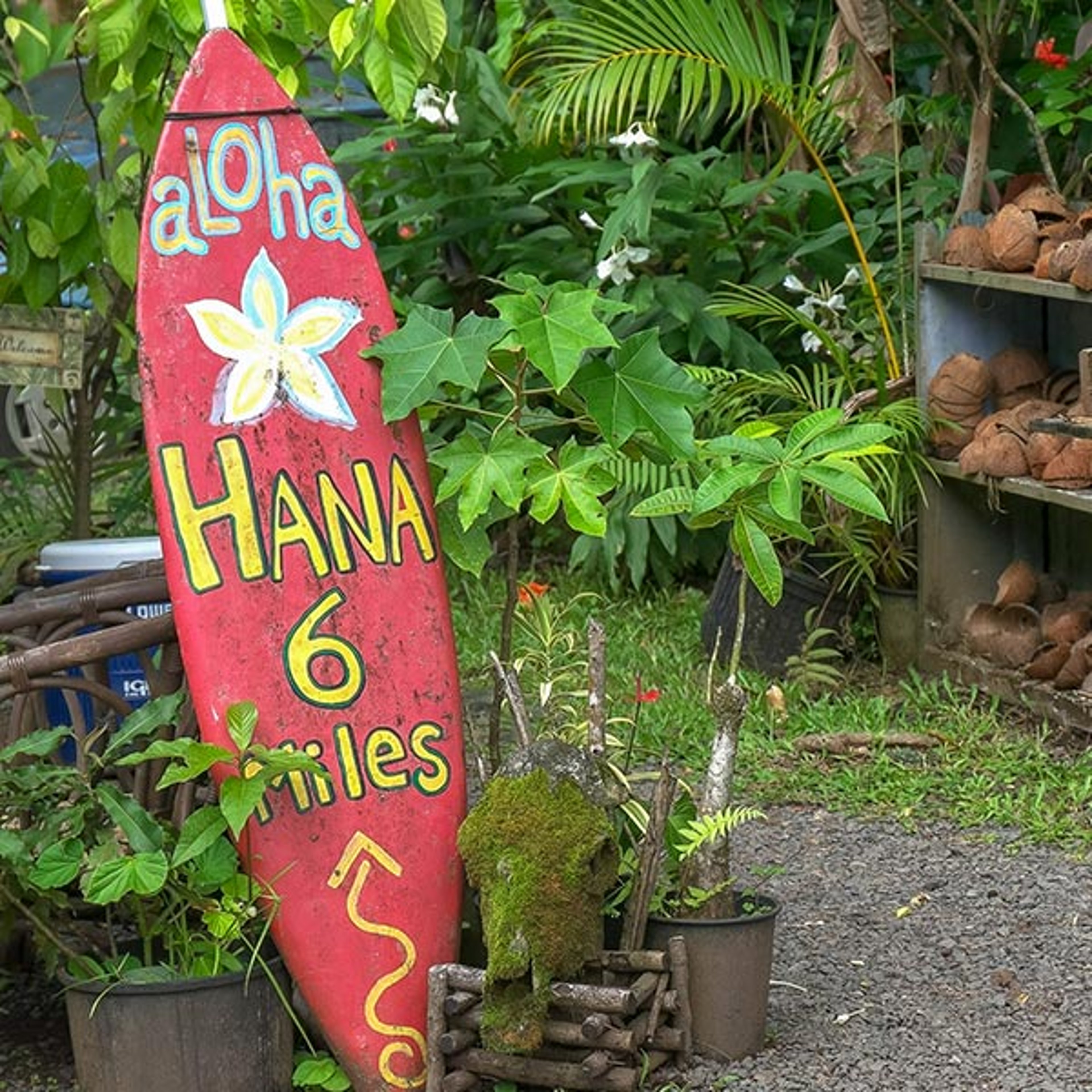 Surfboard in Maui Hawaii