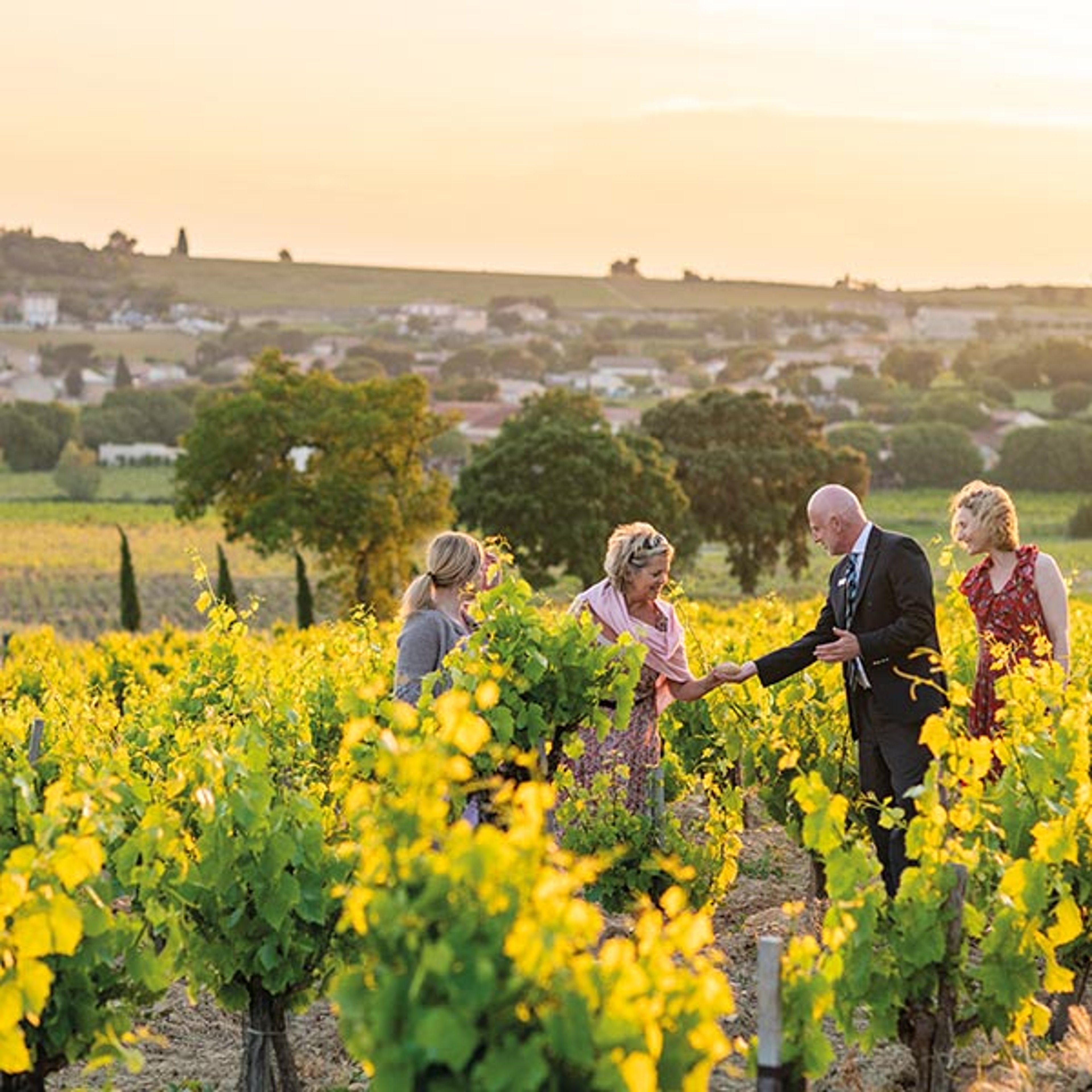Travelers visiting a French vineyard