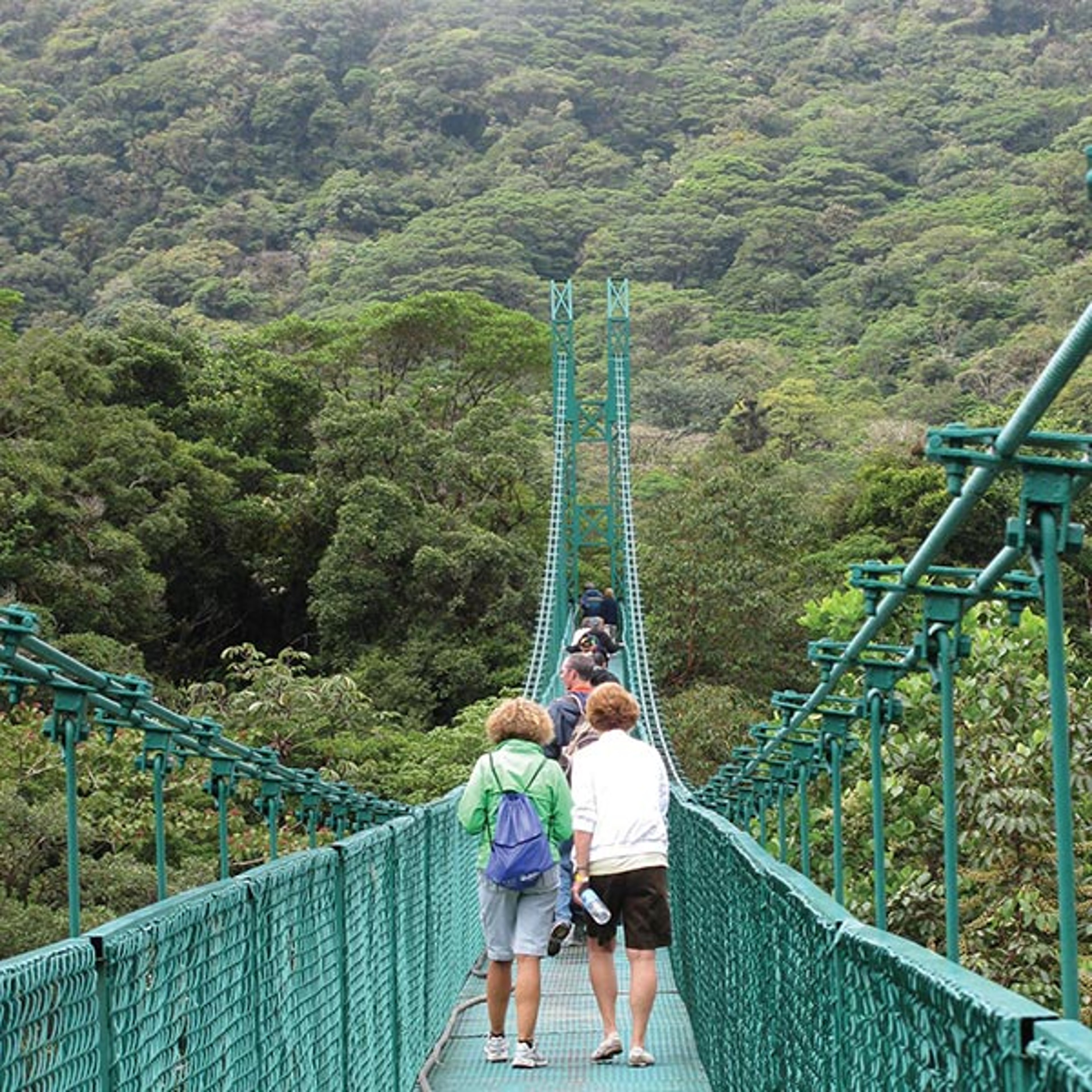 Travelers crossing hanging bridge