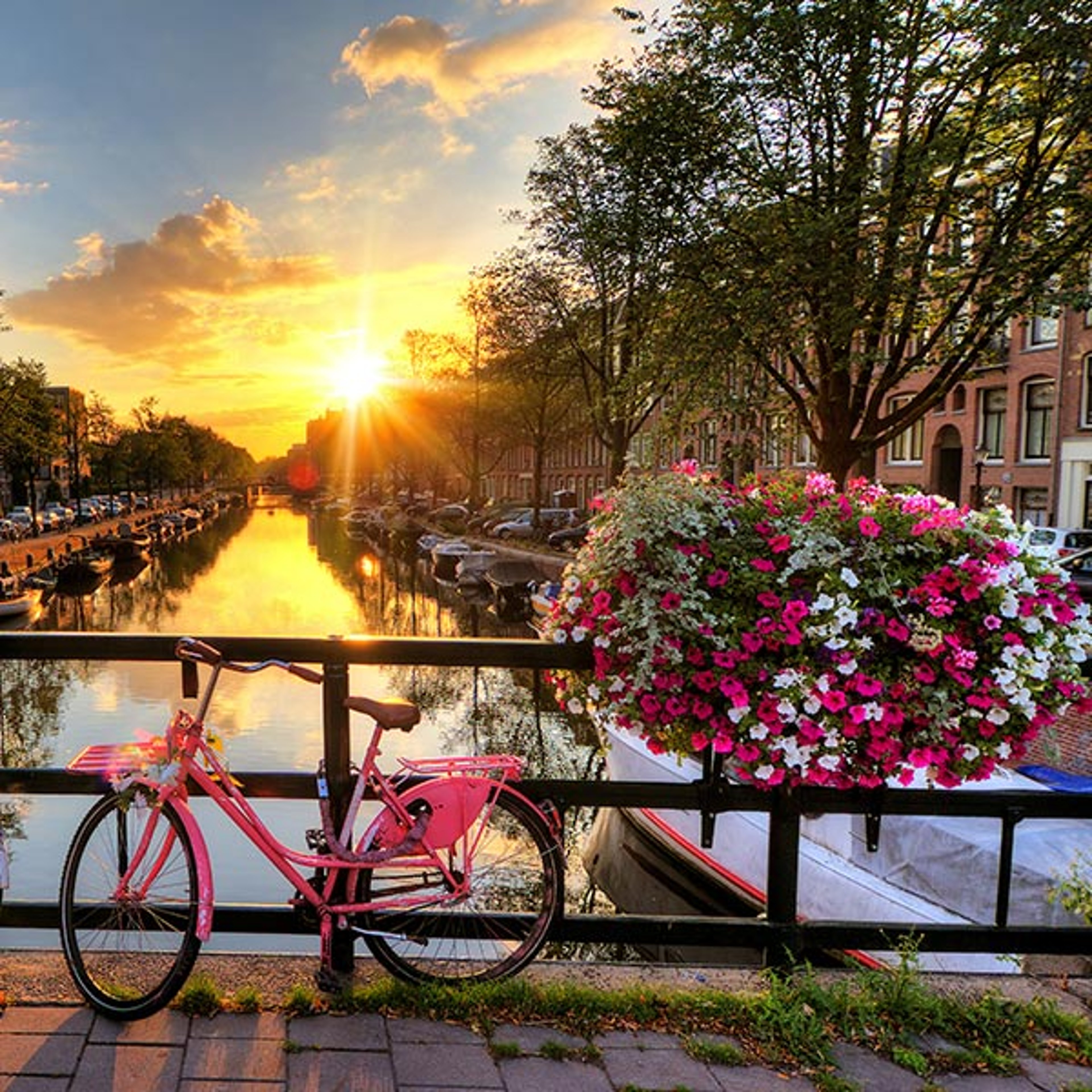Trafalgar - Bikes on Bridge