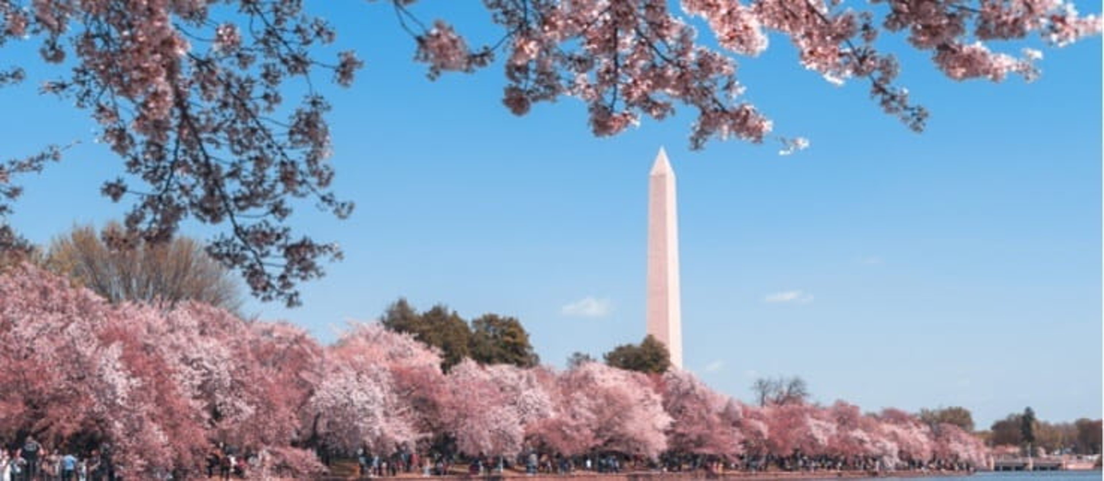 Road trips - Washington DC