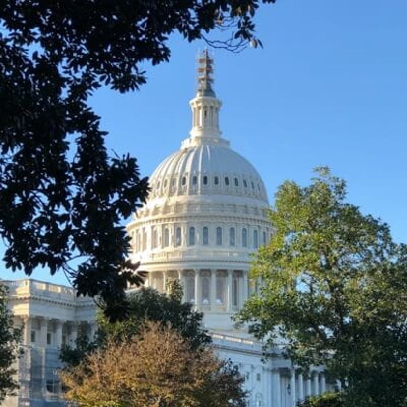 Capitol Building in Washington D.C.