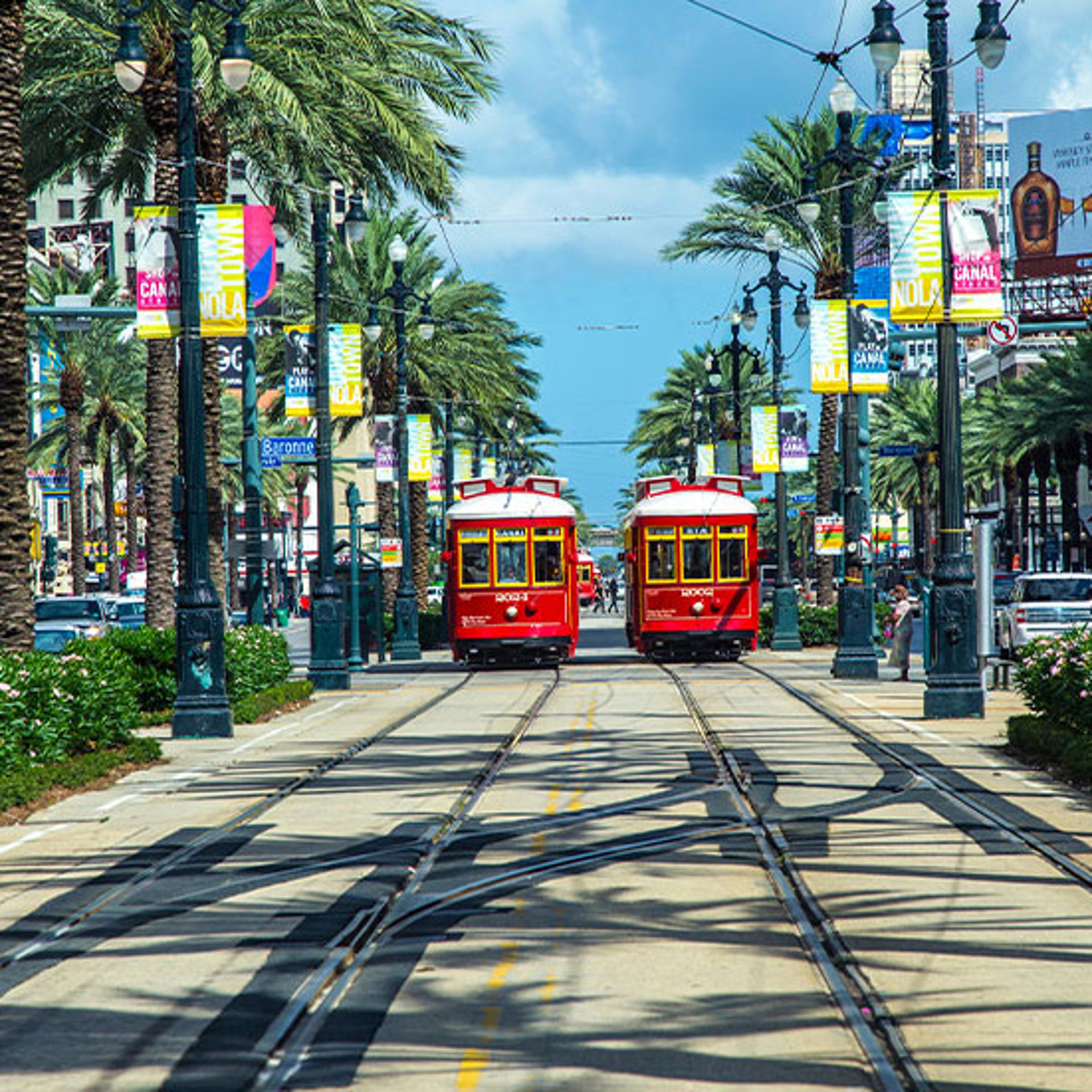 New Orleans street scene with two red streetcars on a palm tree-lined boulevard