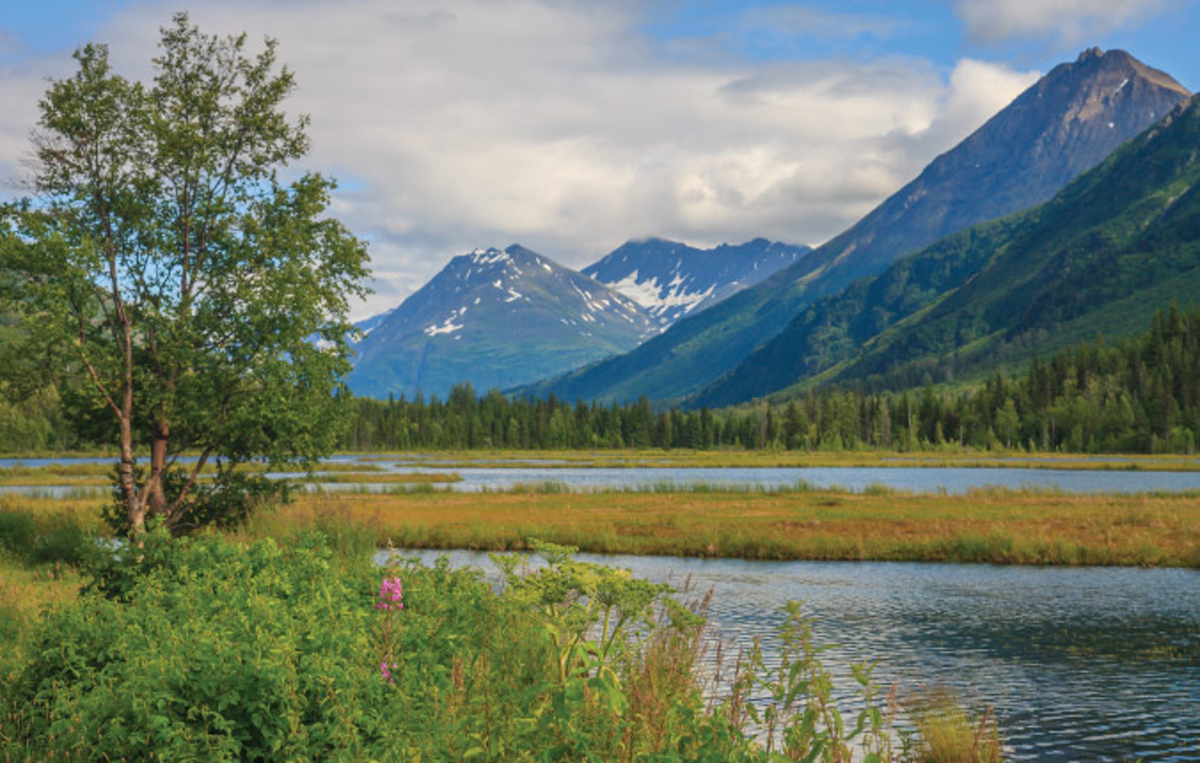 Snow-capped mountains, dense evergreen forests, and a calm body of water in Alaska’s Kenai Peninsula