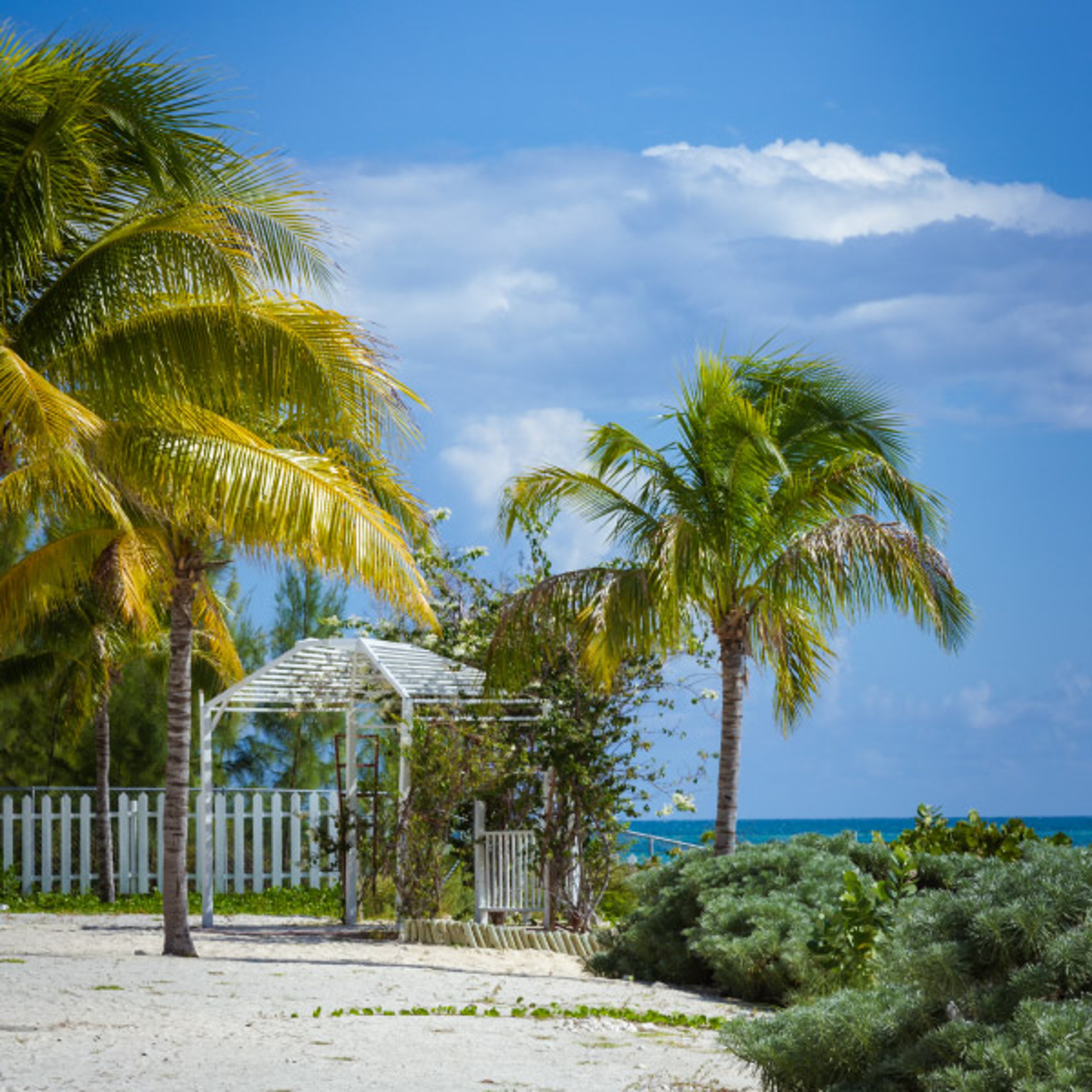 Let Royal Caribbean take you to palm-trimmed beaches, crystal clear water and balmy tropical breezes. 