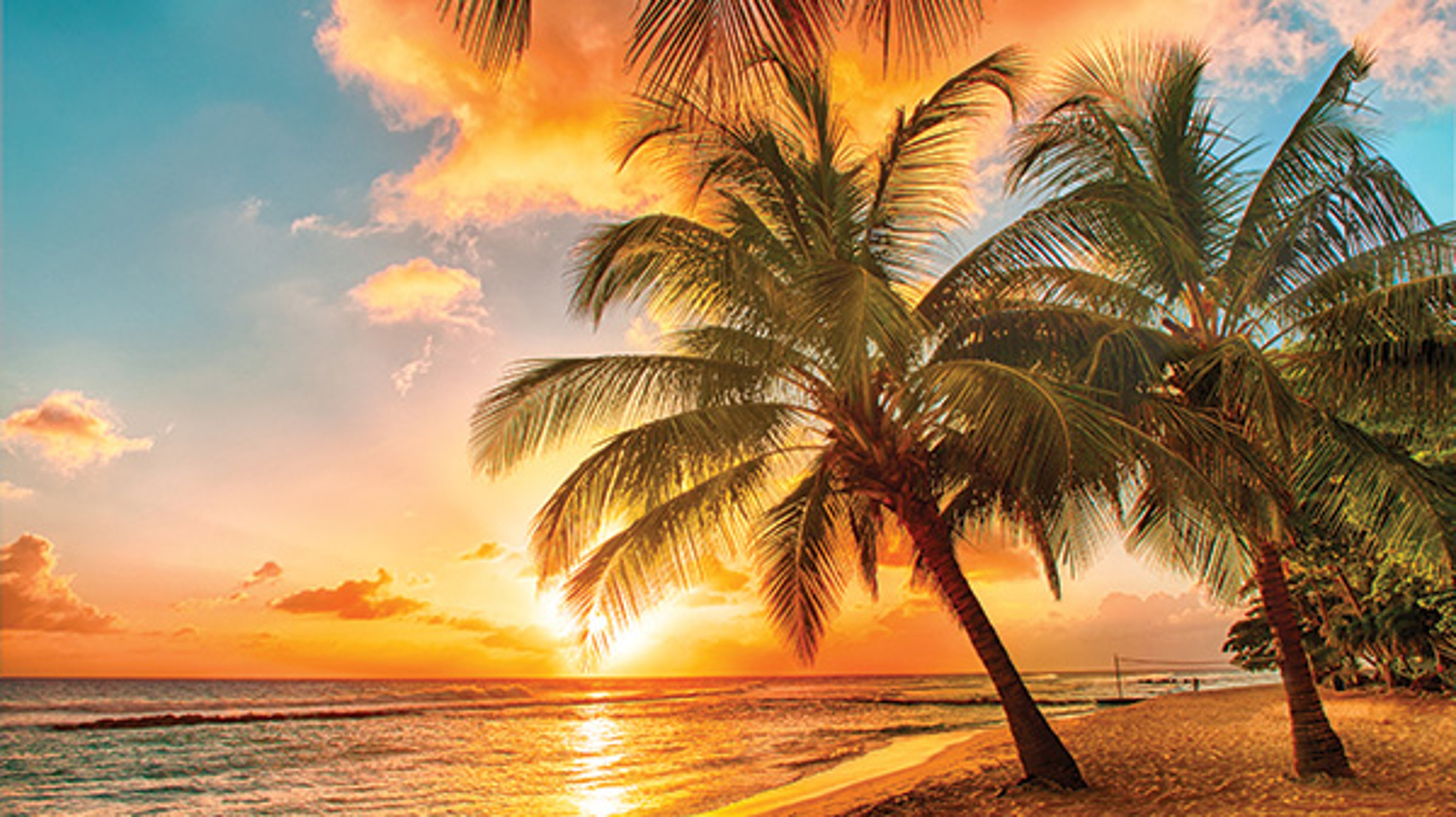 Tropical beach with palm trees at sunset and a volleyball net in the background.