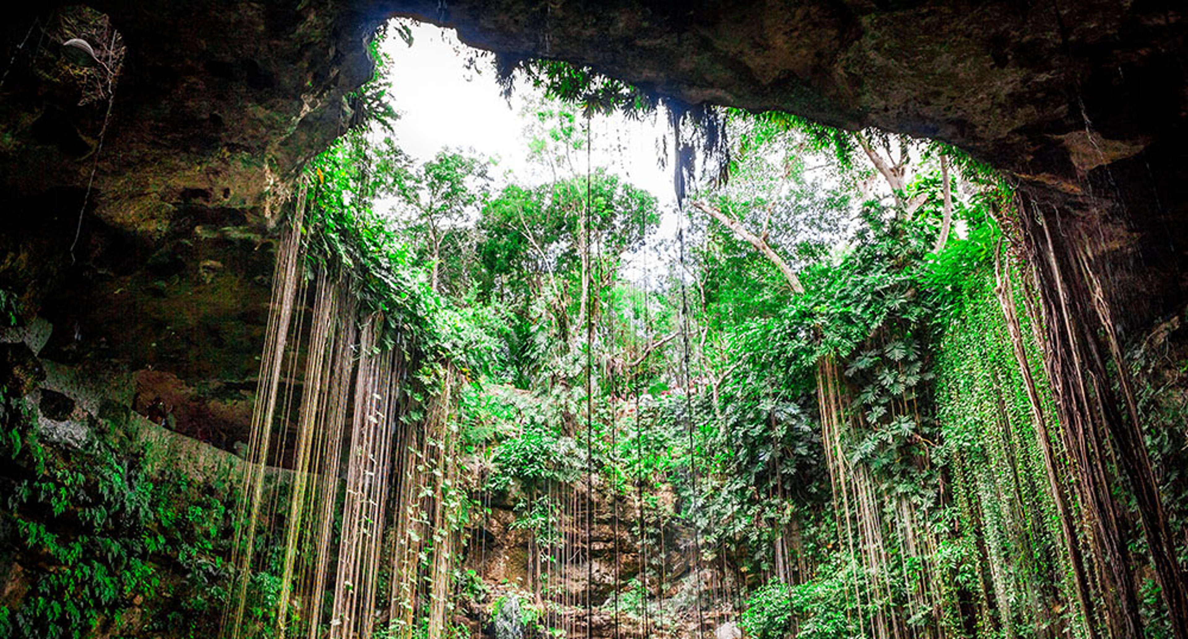 Cenote Ik Kil with lush vegetation and hanging vines in Yucatan, Mexico.