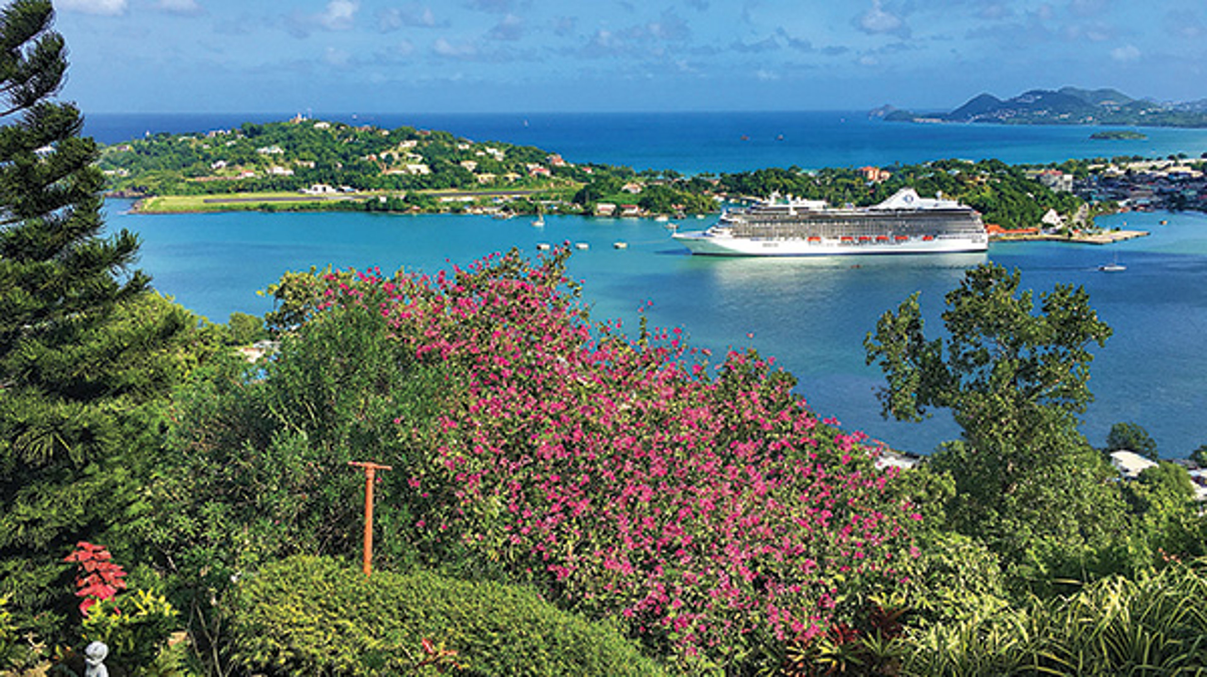 Coastal view with flowering bushes in the foreground and a cruise ship in a turquoise bay.