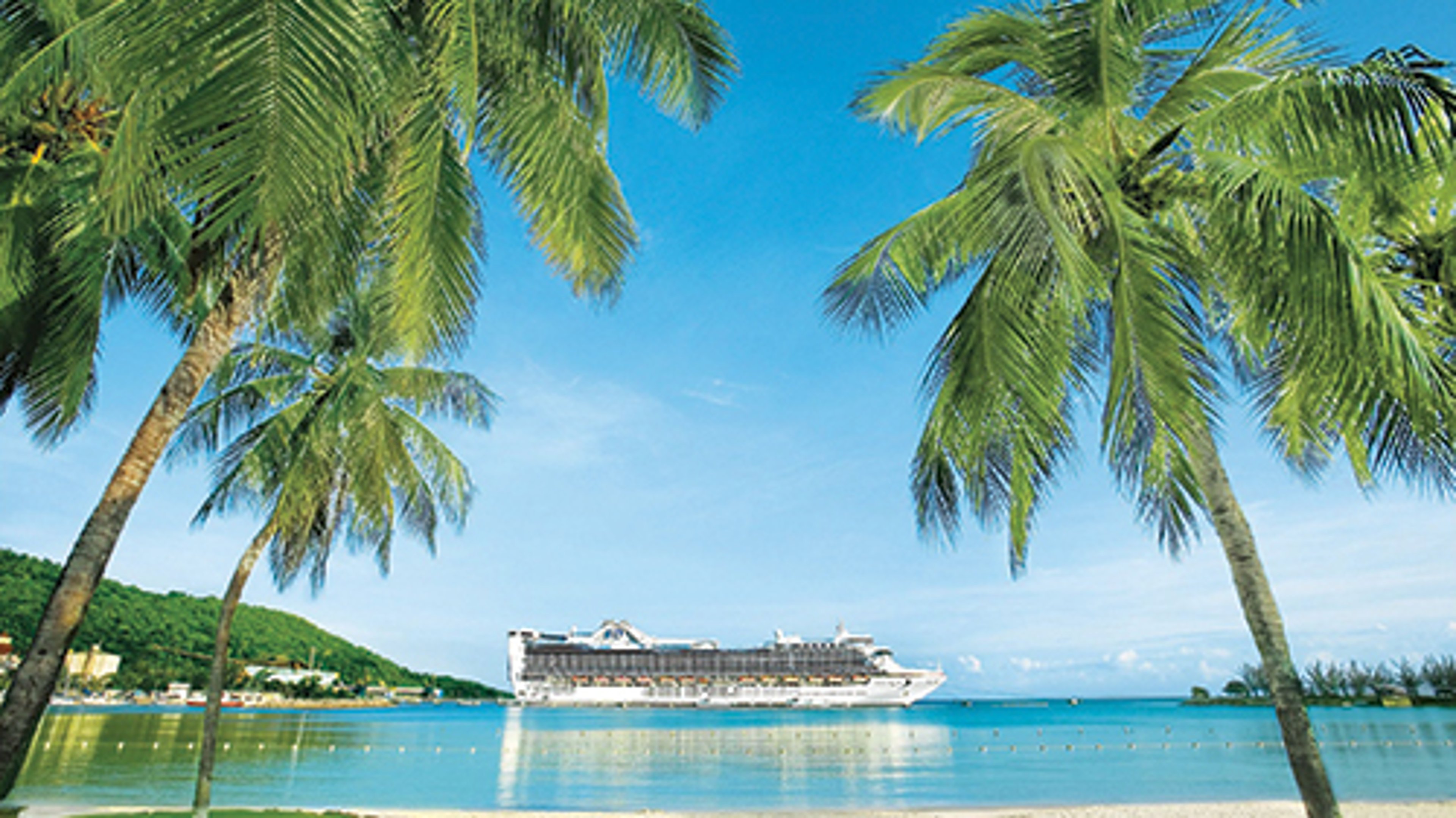 Cruise ship anchored in clear water, framed by palm trees.