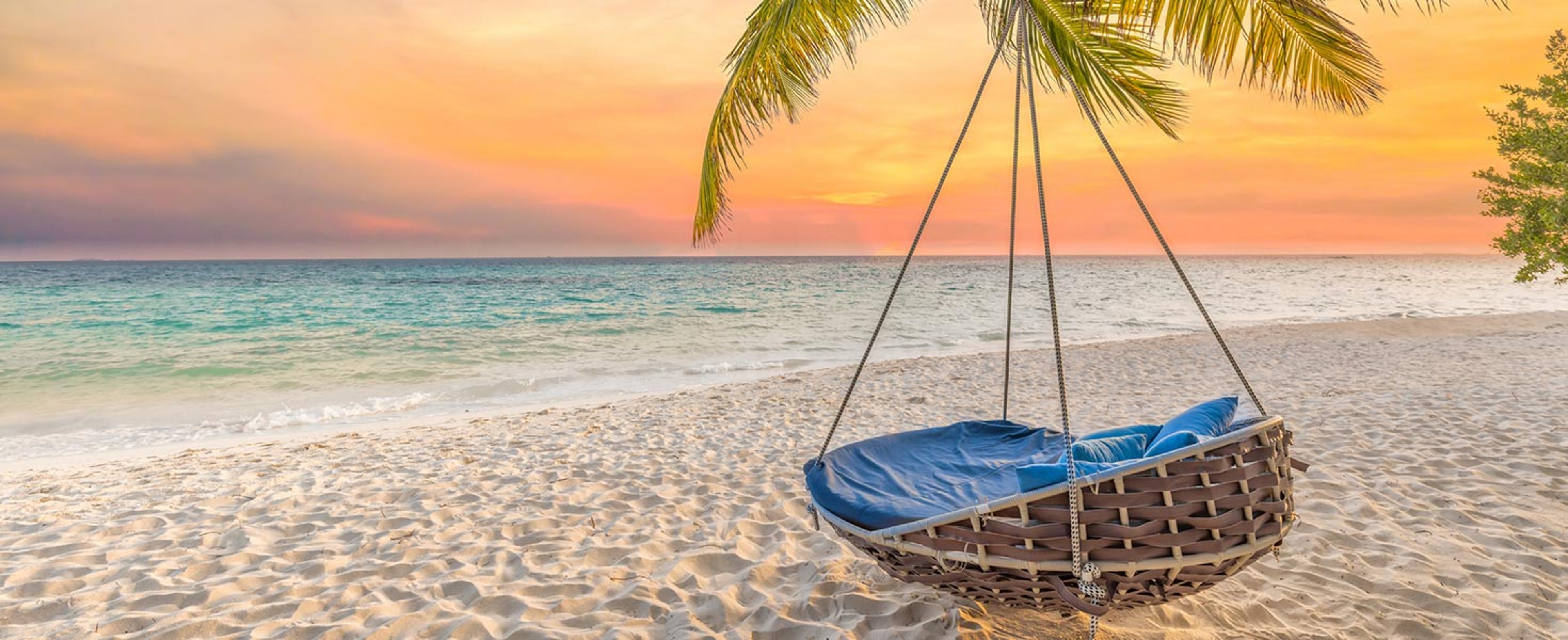 Comfy chair suspended from a palm tree on a beautiful beach