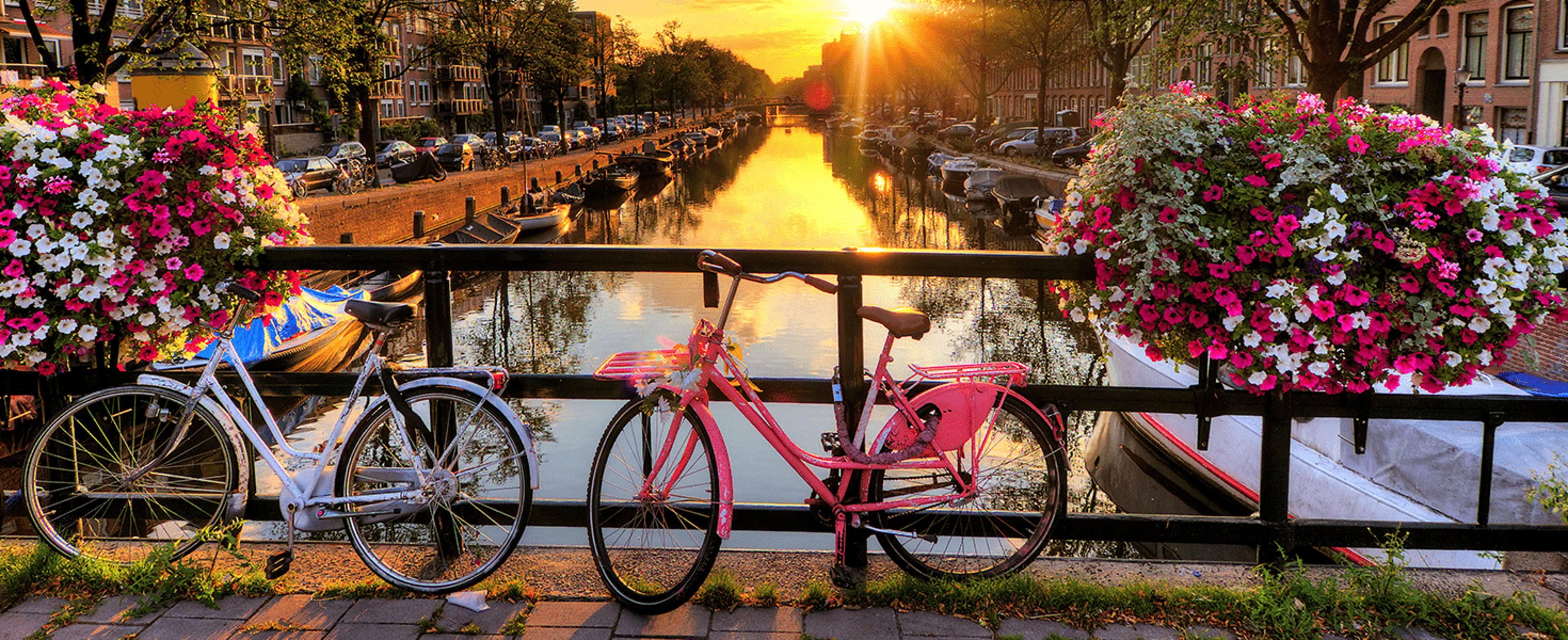 Color bikes on bridge over canal in Amsterdam