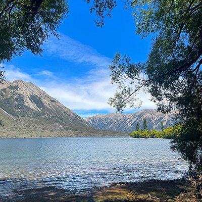 Trees lining Lake Pearson Moana Rua in New Zealand on bright summer day