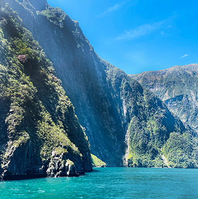 Clear waters and mist over the lush green cliffs of Milford Sound Piopiotahi on New Zealand’s South Island